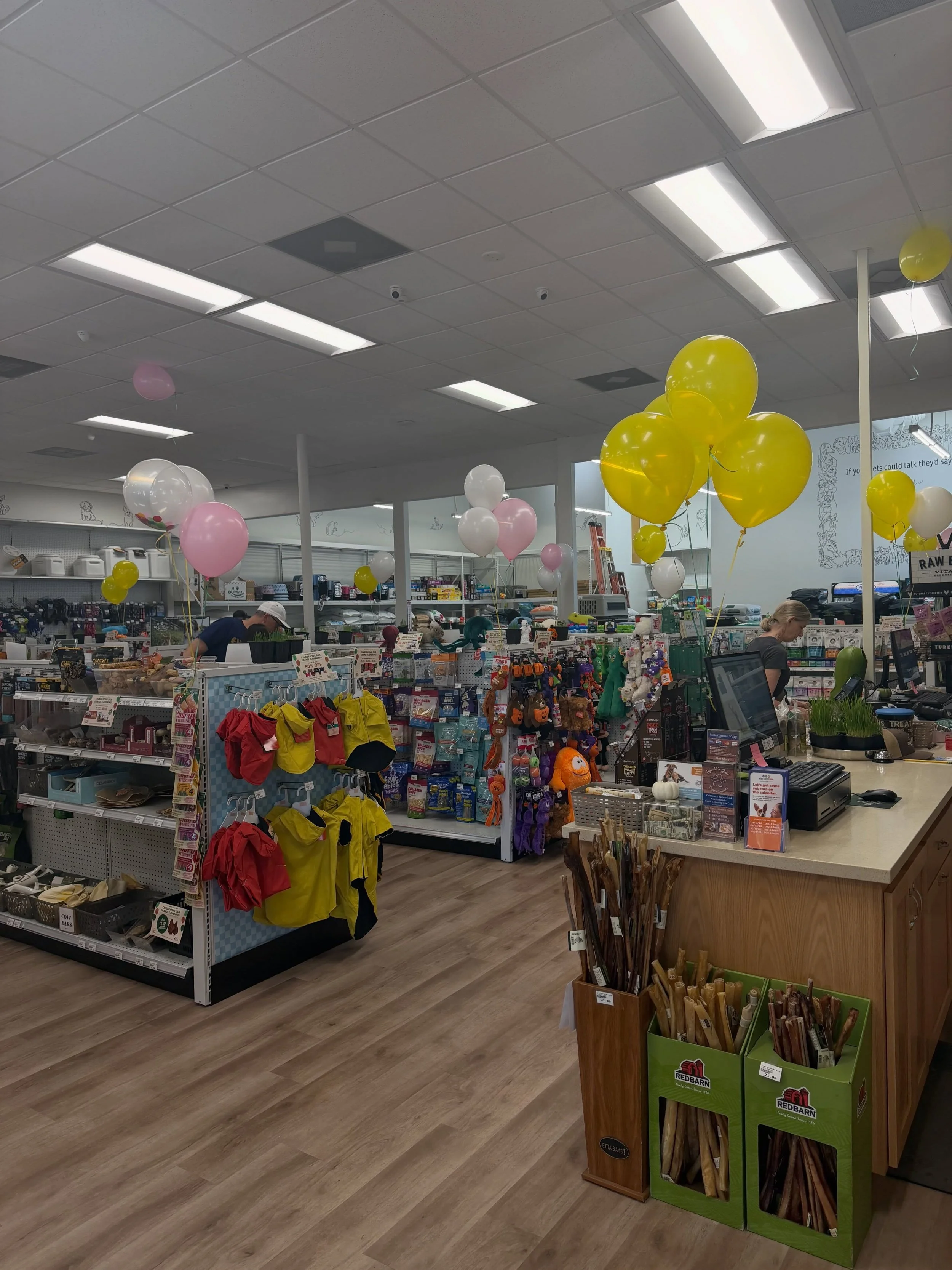 Today&rsquo;s the day! 💚🌴🎉 Come celebrate the Grand ReOpening at our Santa Barbara Lemos store 330 E. Gutierrez Street until 4pm!

Everyone will leave with FREE:
🛍️Swag from several vendors
🍦YowUp Frozen Yogurt
🐷Pig Ear Dog Chew
💚A chance to w