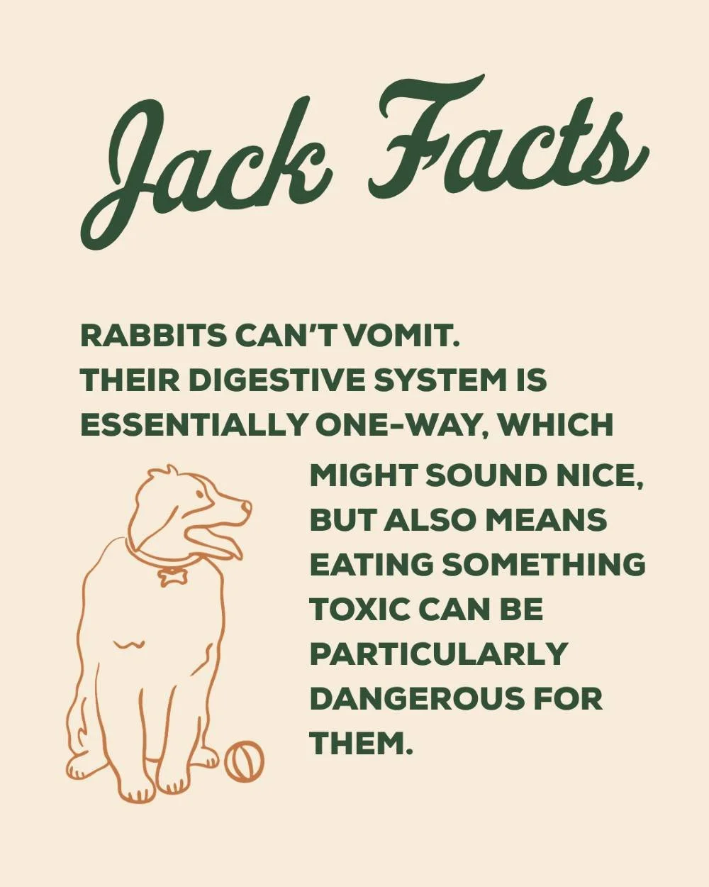 Did you know bunnies can't throw up?! 🐰

#jackfacts #mypetsayslemos #lemospet #bunnyfact