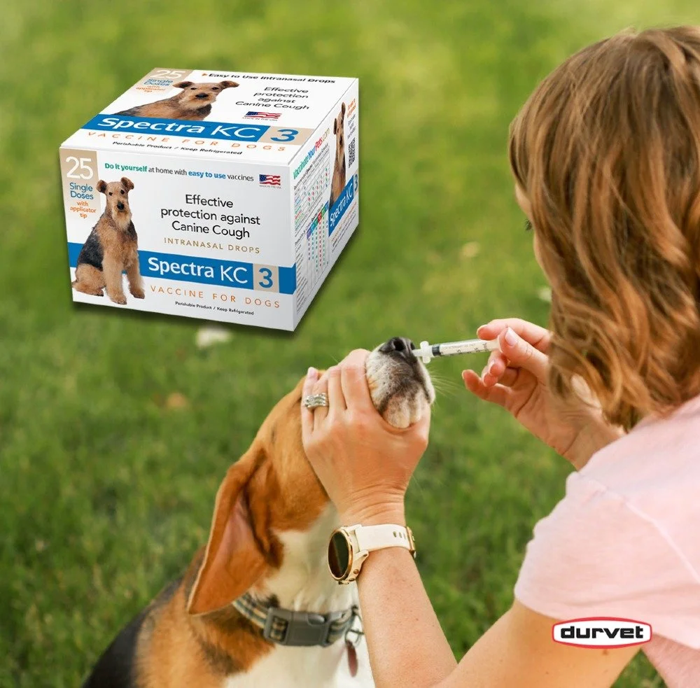The holidays are coming up quick! If you're traveling, make sure your dog's vaccines are up to date!🐶 We sell the shots you need right here at Lemos &amp; you can DIY for a fraction of the cost of heading to the vet! This includes the Durvet Bordete