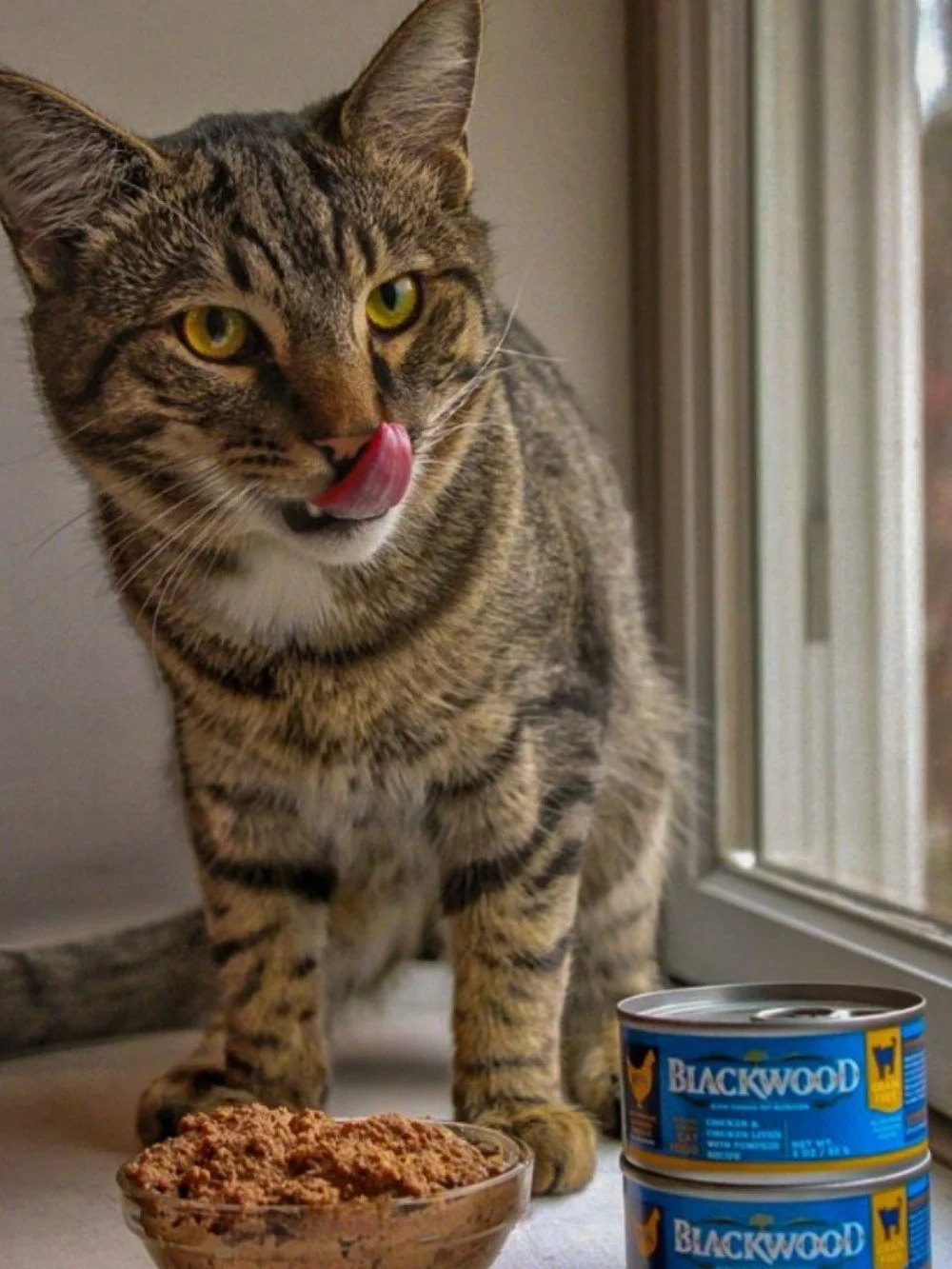 Real meat is always the first ingredient in @blkwoodpetfood 😋

⭐$8 off large bags of Blackwood dog &amp; cat foods
⭐$6 off medium bags of Blackwood dog food
⭐$4 off small bags of Blackwood dog &amp; cat foods
⭐Buy 3, Get 1 FREE canned Blackwood dog 