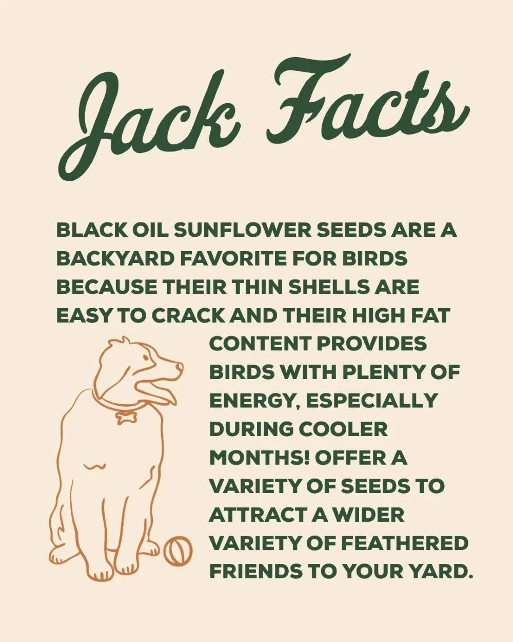 Did you know different birds prefer different types of seeds? 🌻 Stop by Lemos to stock up on our Seed Sale &amp; keep your backyard visitors happy!

#mypetsayslemos #birdseed #centralcoast #backyardbirds #jackfacts