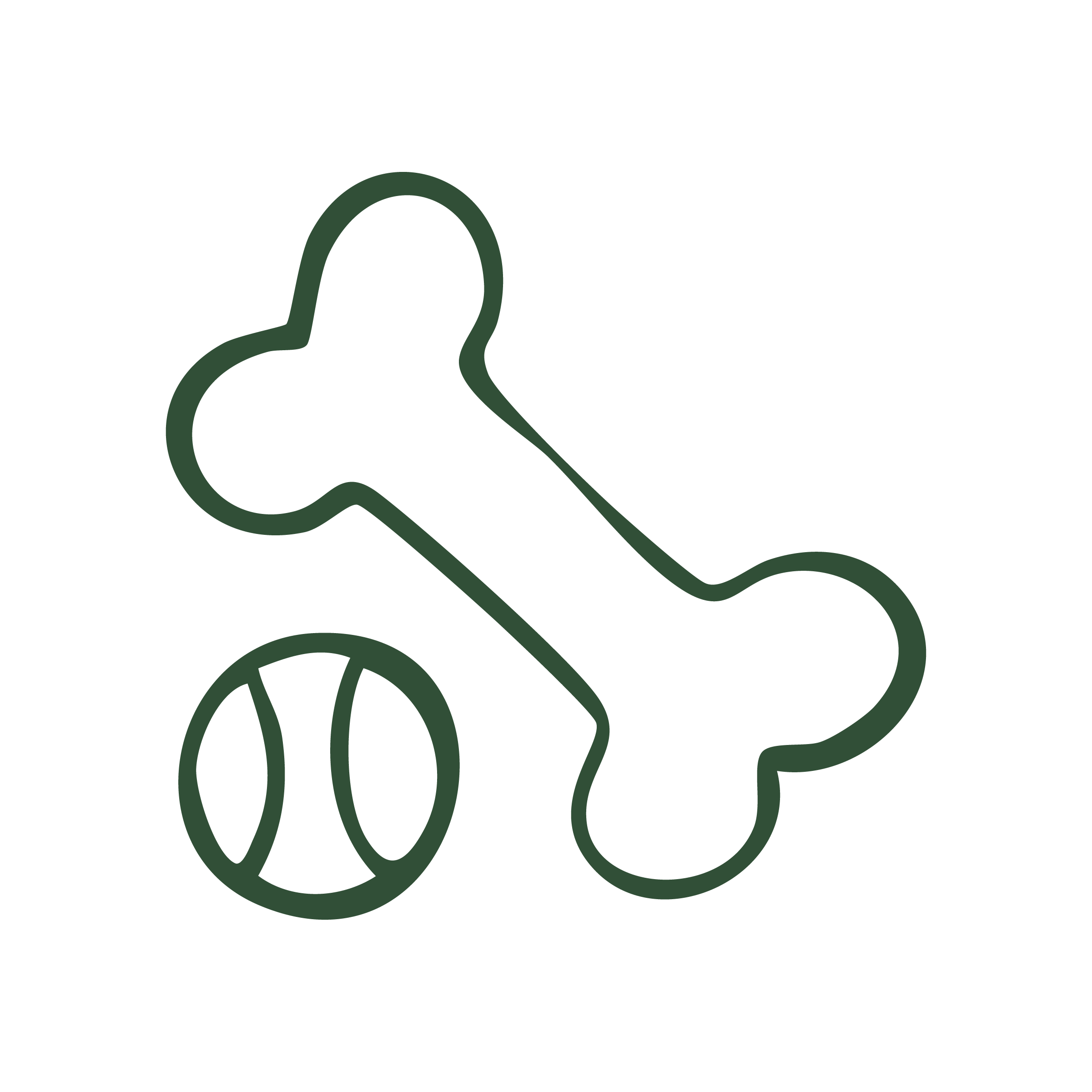 Outline of a bone and a ball, representing pet toys, on a black background.