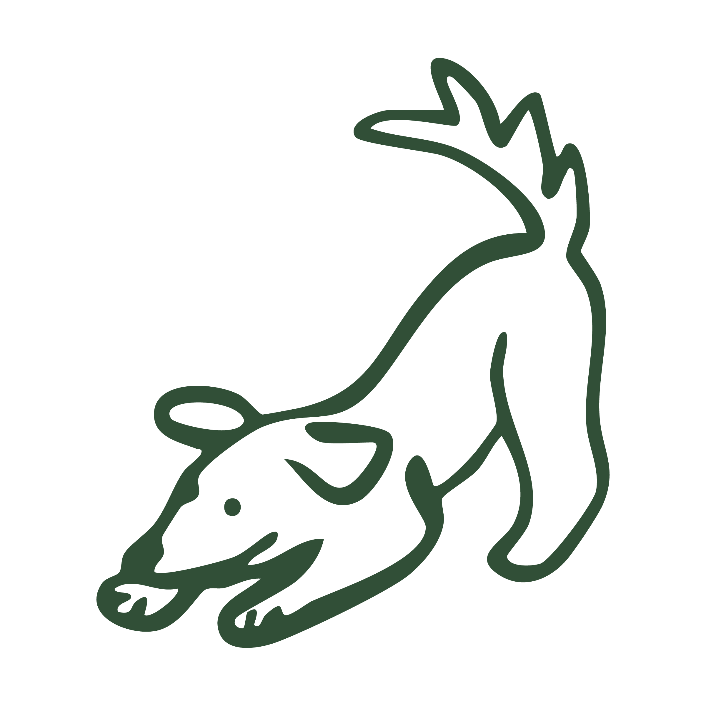 Outline of a fox with a prominent tail and pointed ears, drawn with a continuous dark green line on a black background.