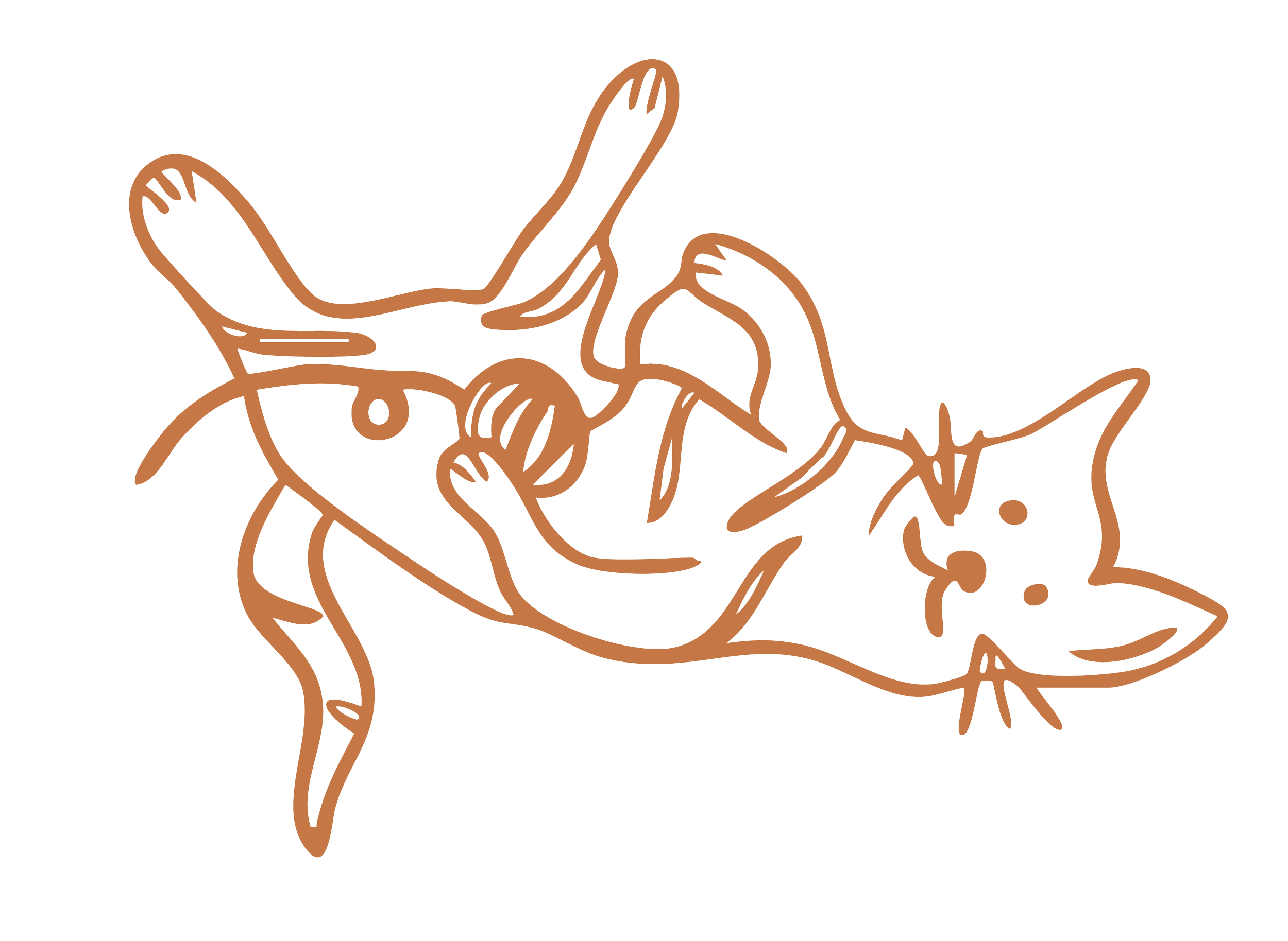 Line drawing of a cat and a mouse intertwined, with abstract and continuous brown lines.