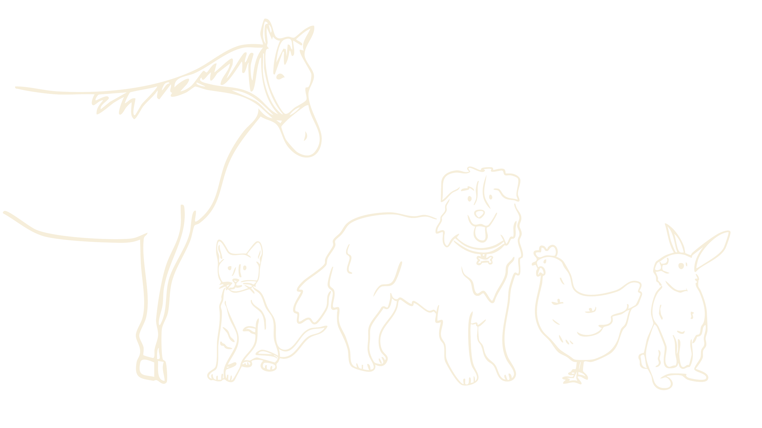 Outline drawing of a horse, cat, dog, chicken, and rabbit.