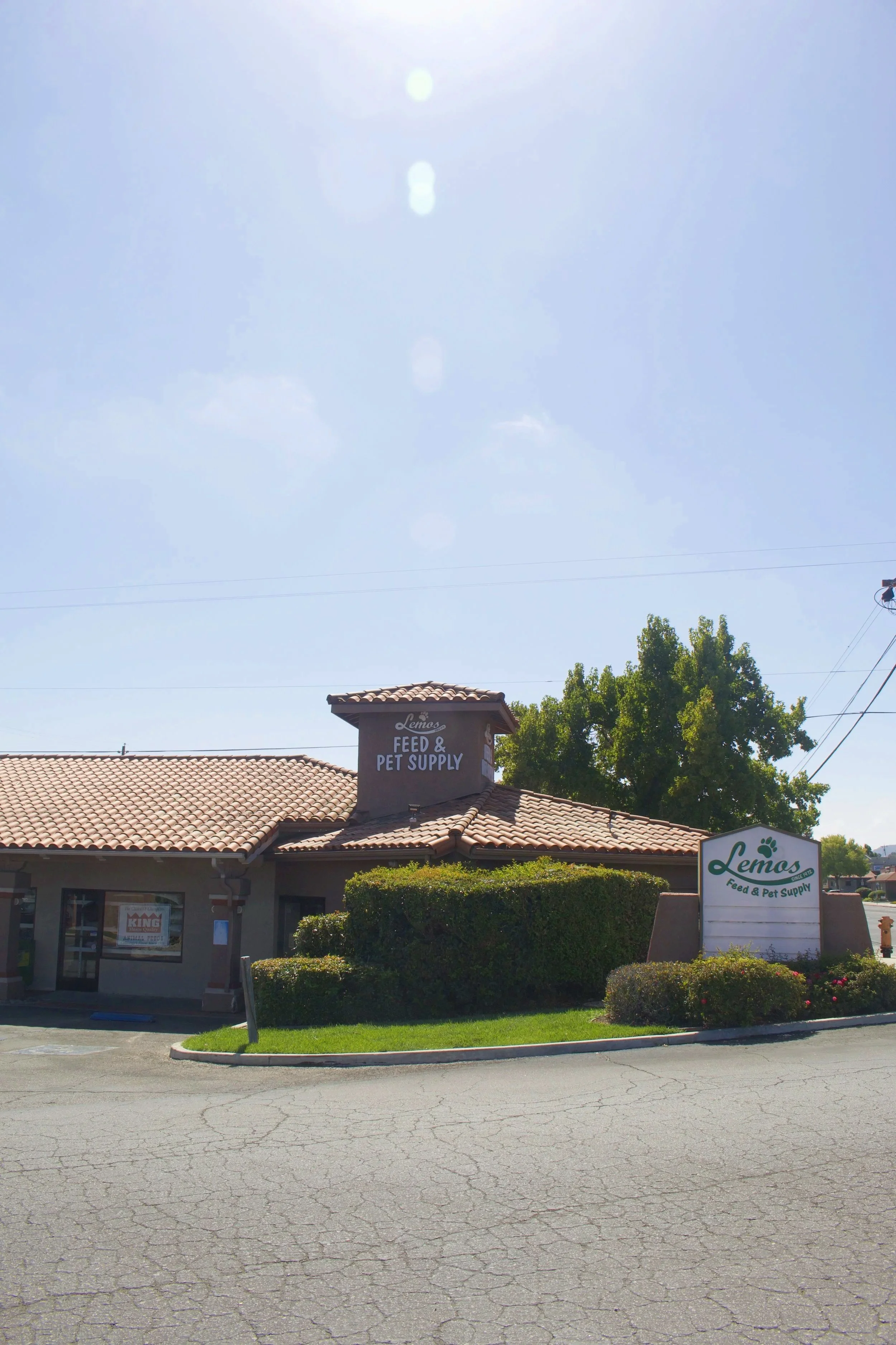 A building with a sign reading "Lemos Feed & Pet Supply" in Atascadero and a tall feather flag with 'Dog Wash' on it, located outdoors with bushes in front and a clear blue sky above.