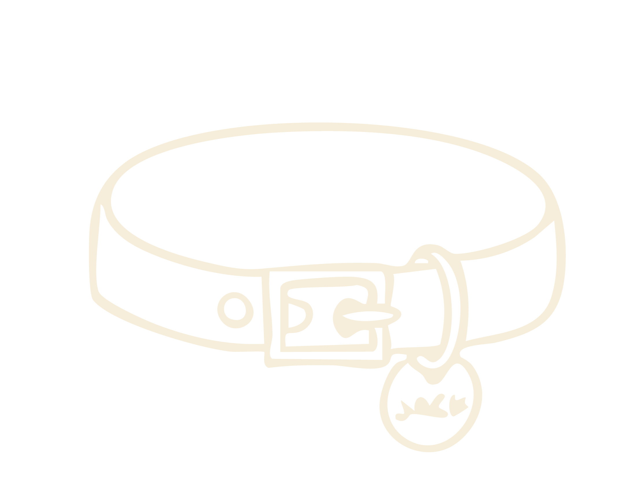Line drawing of a dog collar with a buckle and a dangling circular tag.