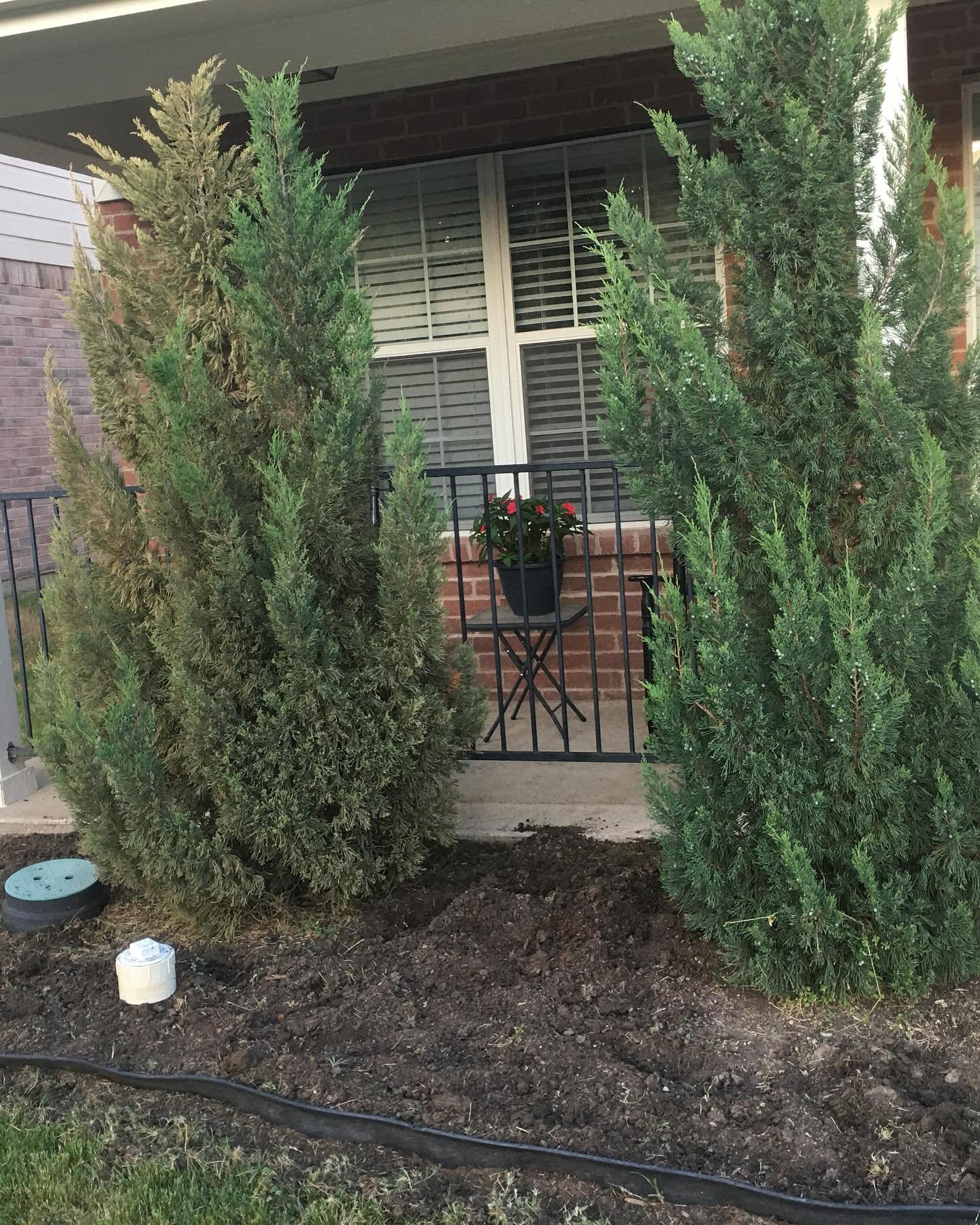 Before and after of flower bed we did. We have ALL your lawn care needs. Book with Golden Rule the link is in our bio!🌳🏡 #dallaslandscapearchitecture #dallaslandscape #dallaslawncare #dallasbusiness