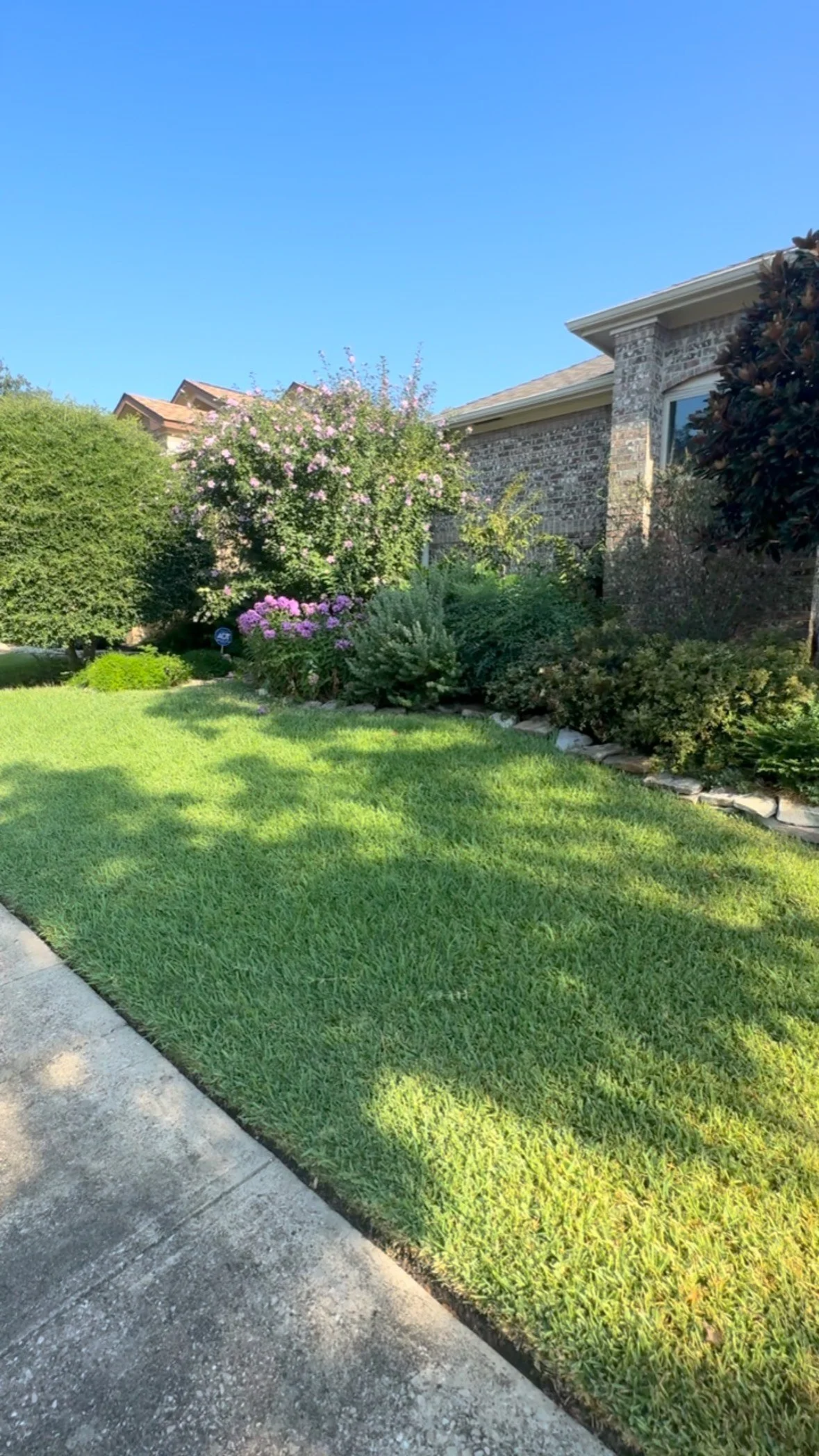 β¨ Transforming Lawns, Elevating Lifestyles β¨
This is the before of a client who trusted Golden Rule Landscape LLC to restore her property into a flawless, luxury outdoor space. πΏ
With our Golden Rule Package, you’ll never worry about your la