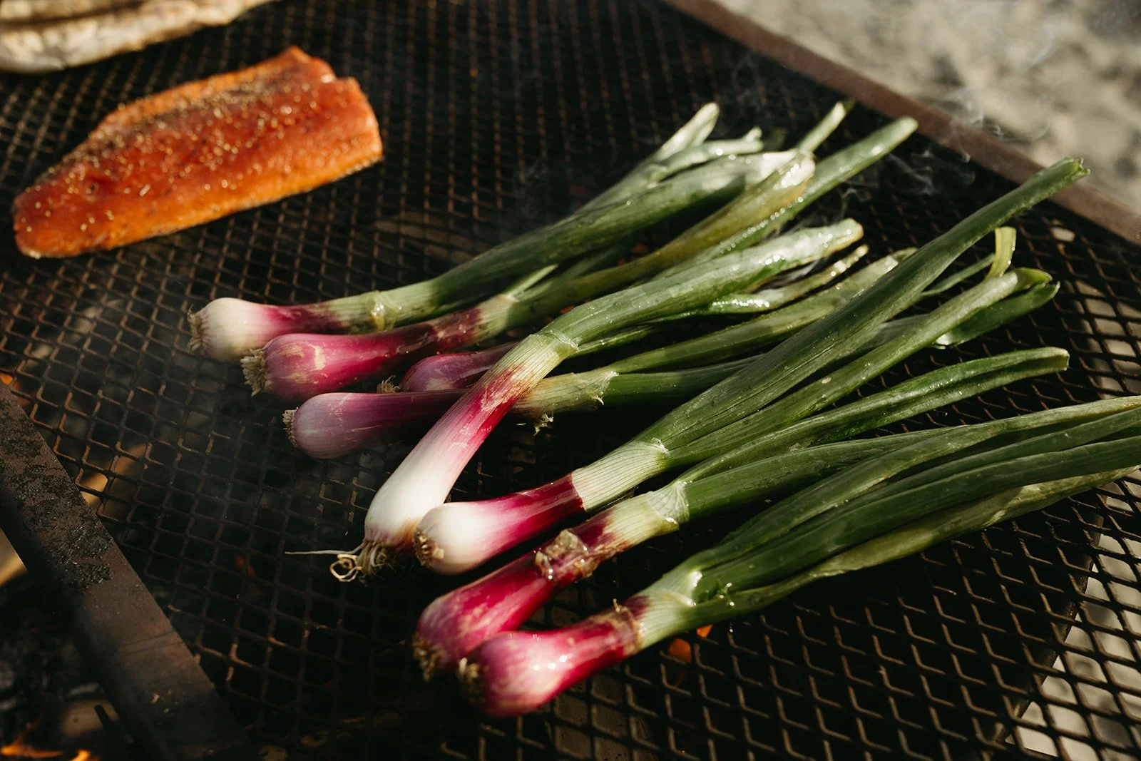 logr seattle-275_websize.jpg