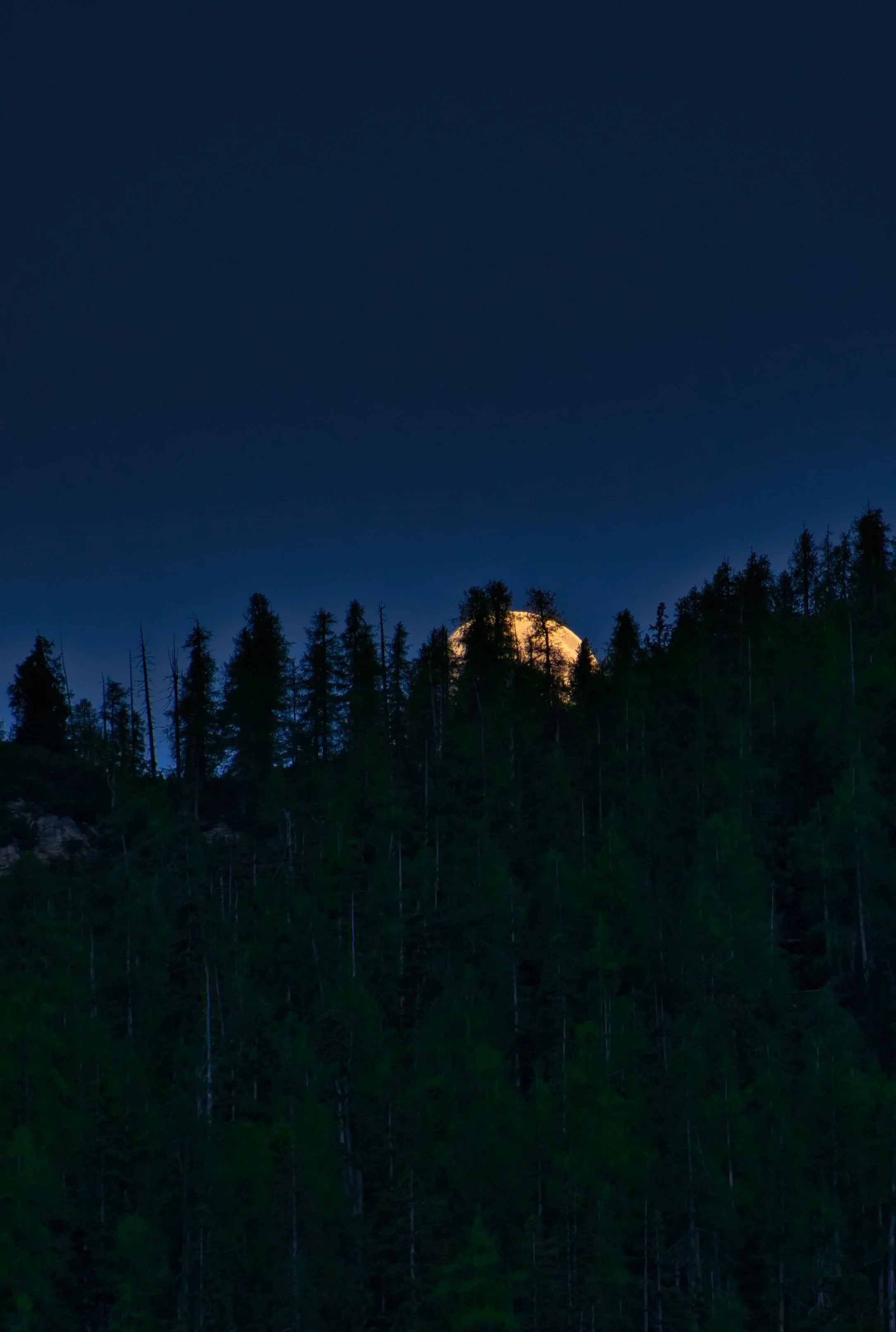 Sauna Sisters Moonrise: Connecting to Our Roots + Ancestors