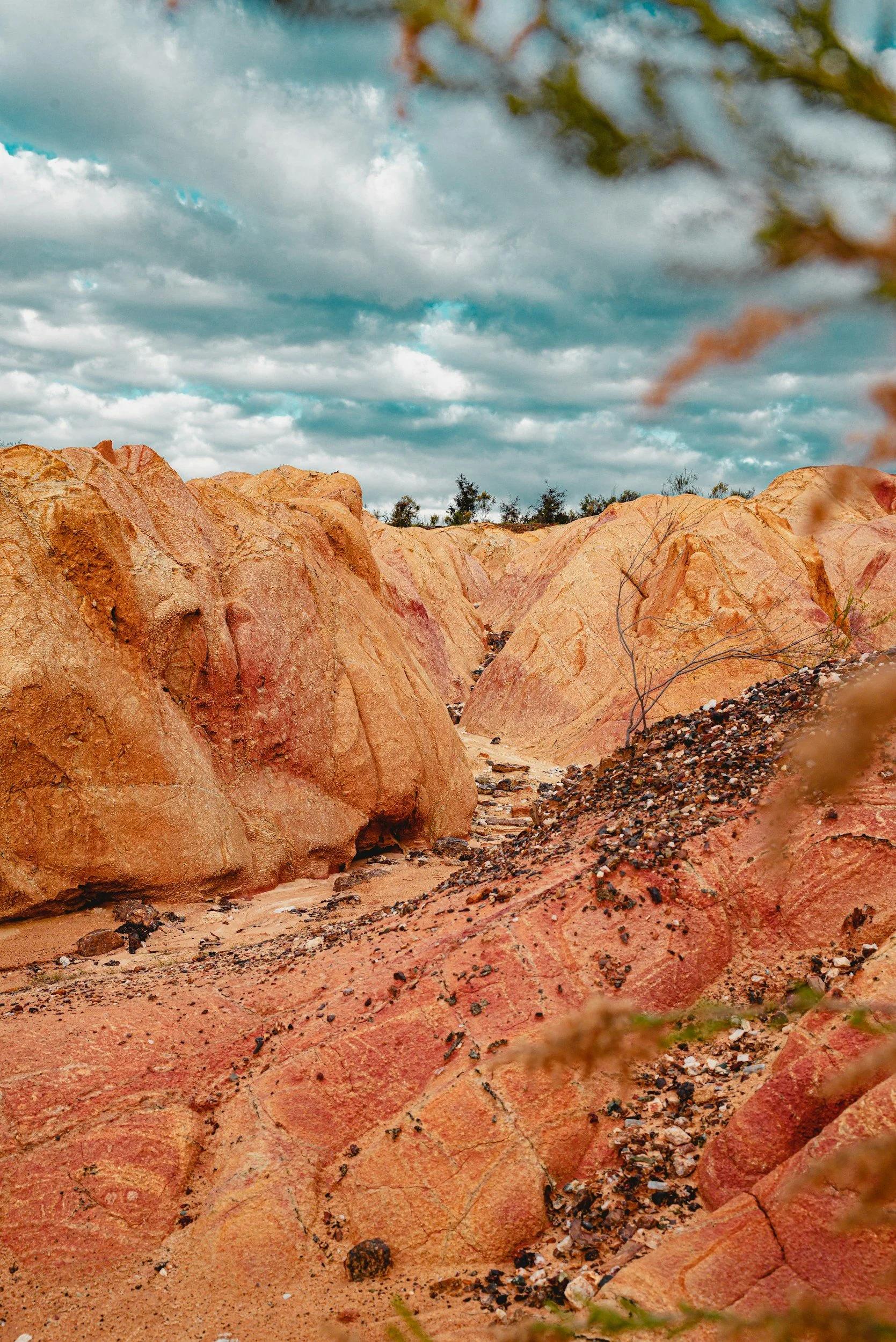 A desert landscape with pink and orange rocks, sparse vegetation, and a cloudy sky.