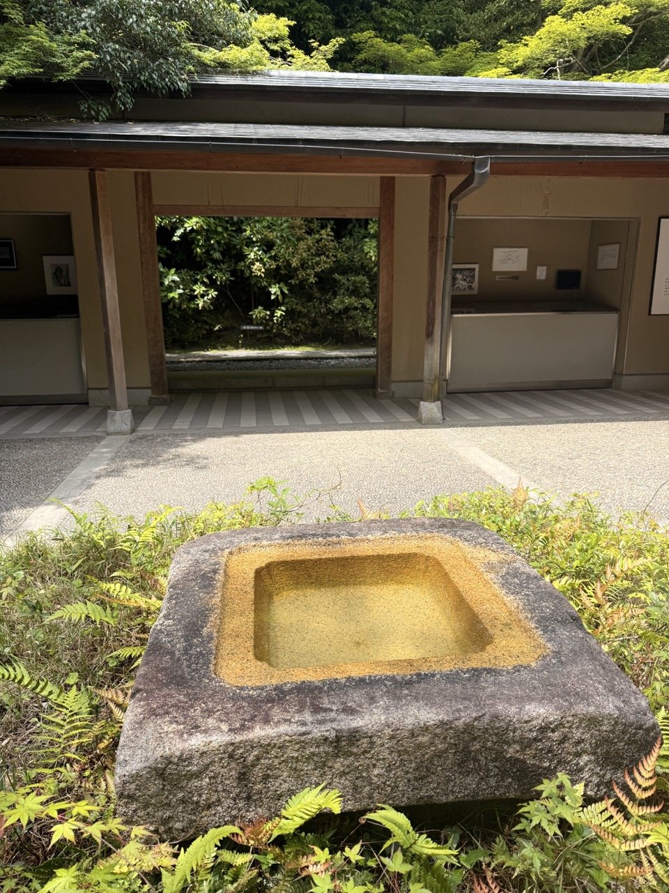 Reflections from Japan