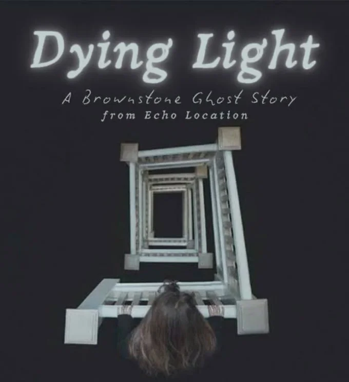 Dying Light (Score & Sound Design)