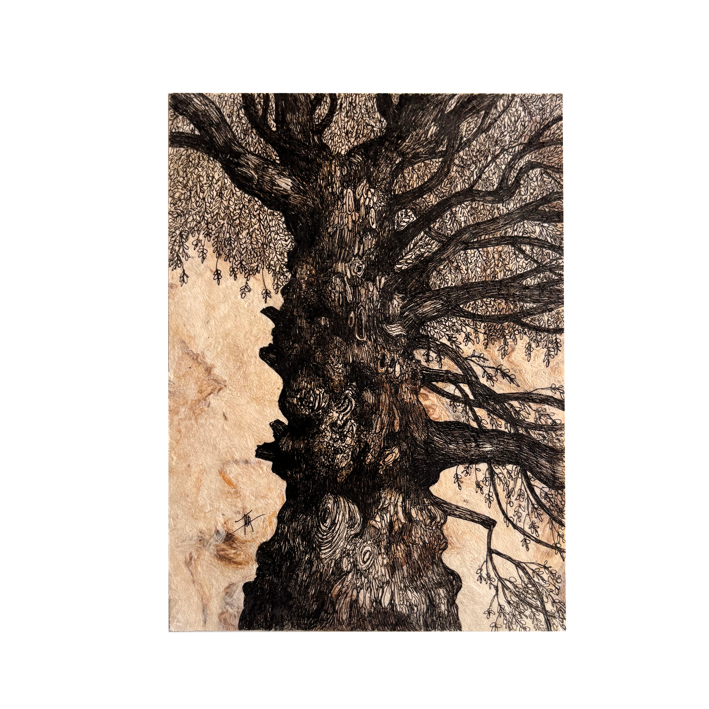 IMG_0488.png