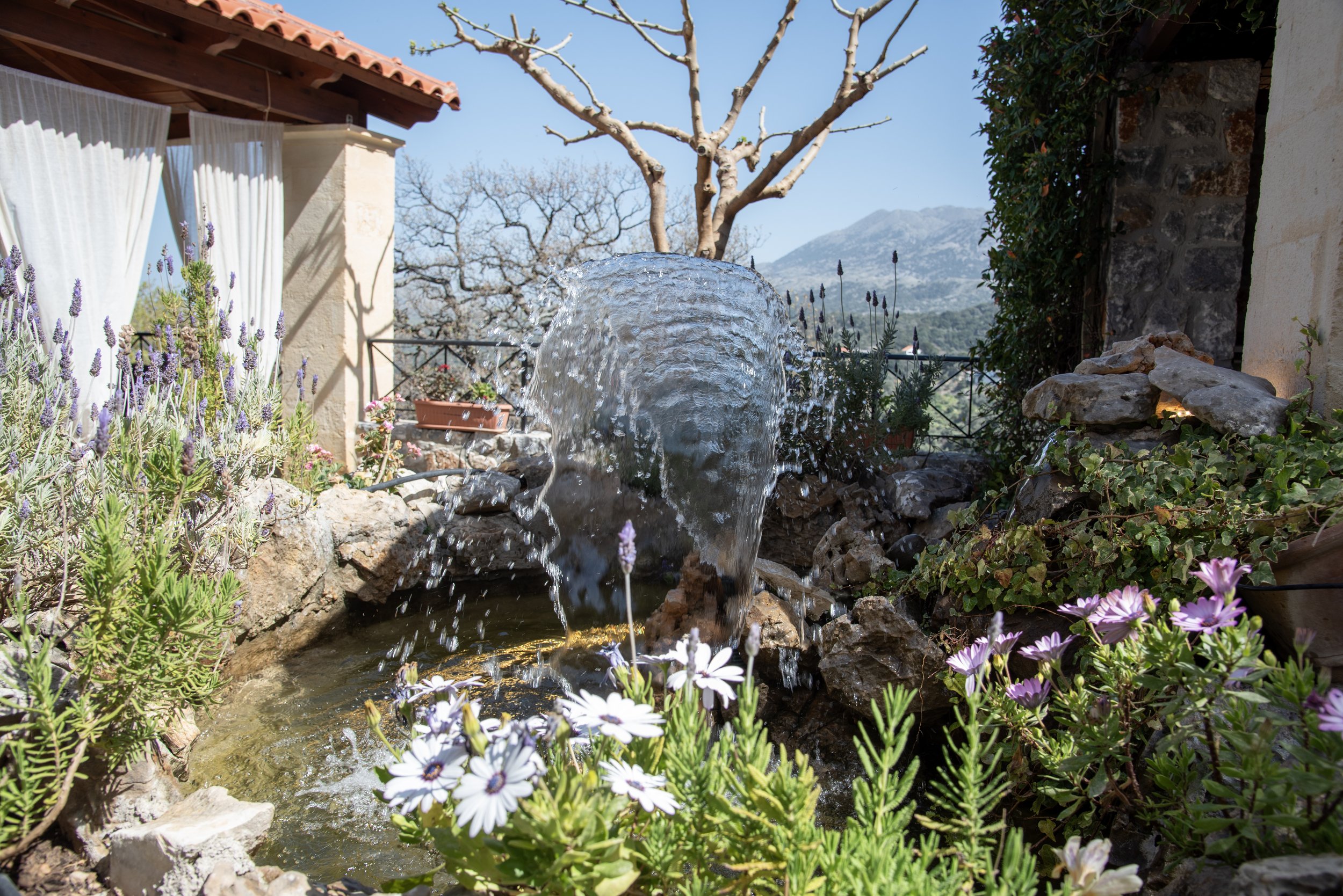 A garden with a flowing water fountain surrounded by rocks, lavender, and various flowers. A small stone building with a red-tiled roof and white curtains is on the left. In the background, there are bare trees and distant mountains under a clear blu