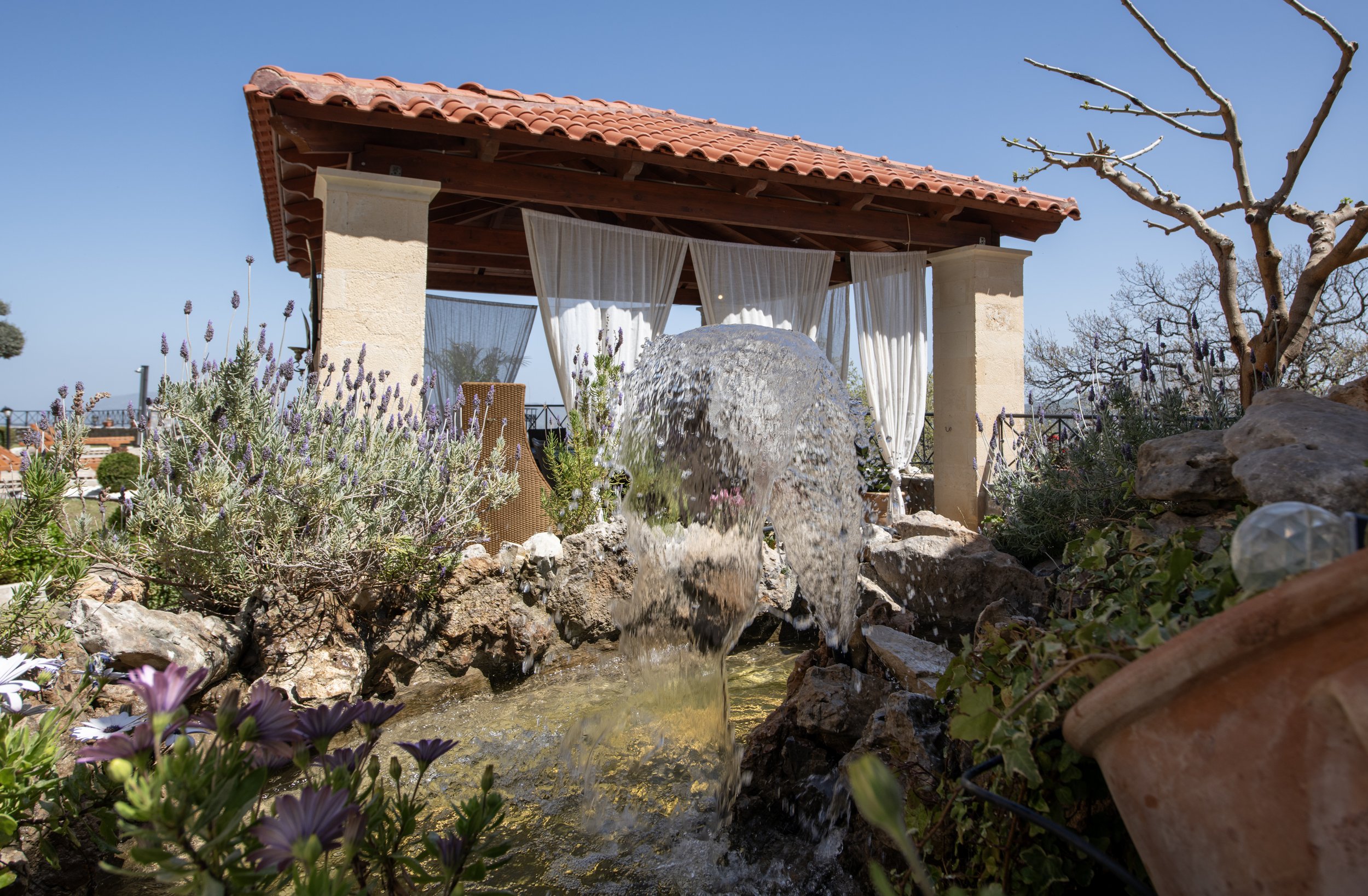 A garden with a water fountain in front of a pergola covered with white curtains, surrounded by lavender and other plants under a clear blue sky.