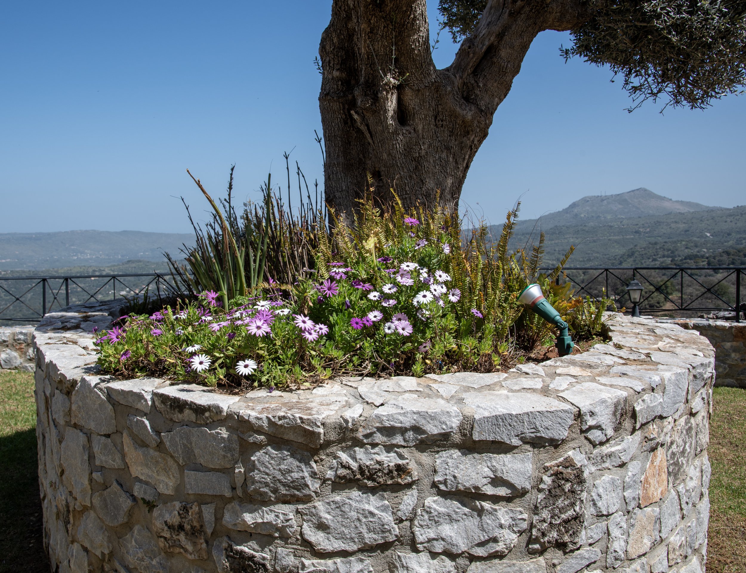 Stone planter with colorful flowers and a tree, overlooking a hilly landscape.
