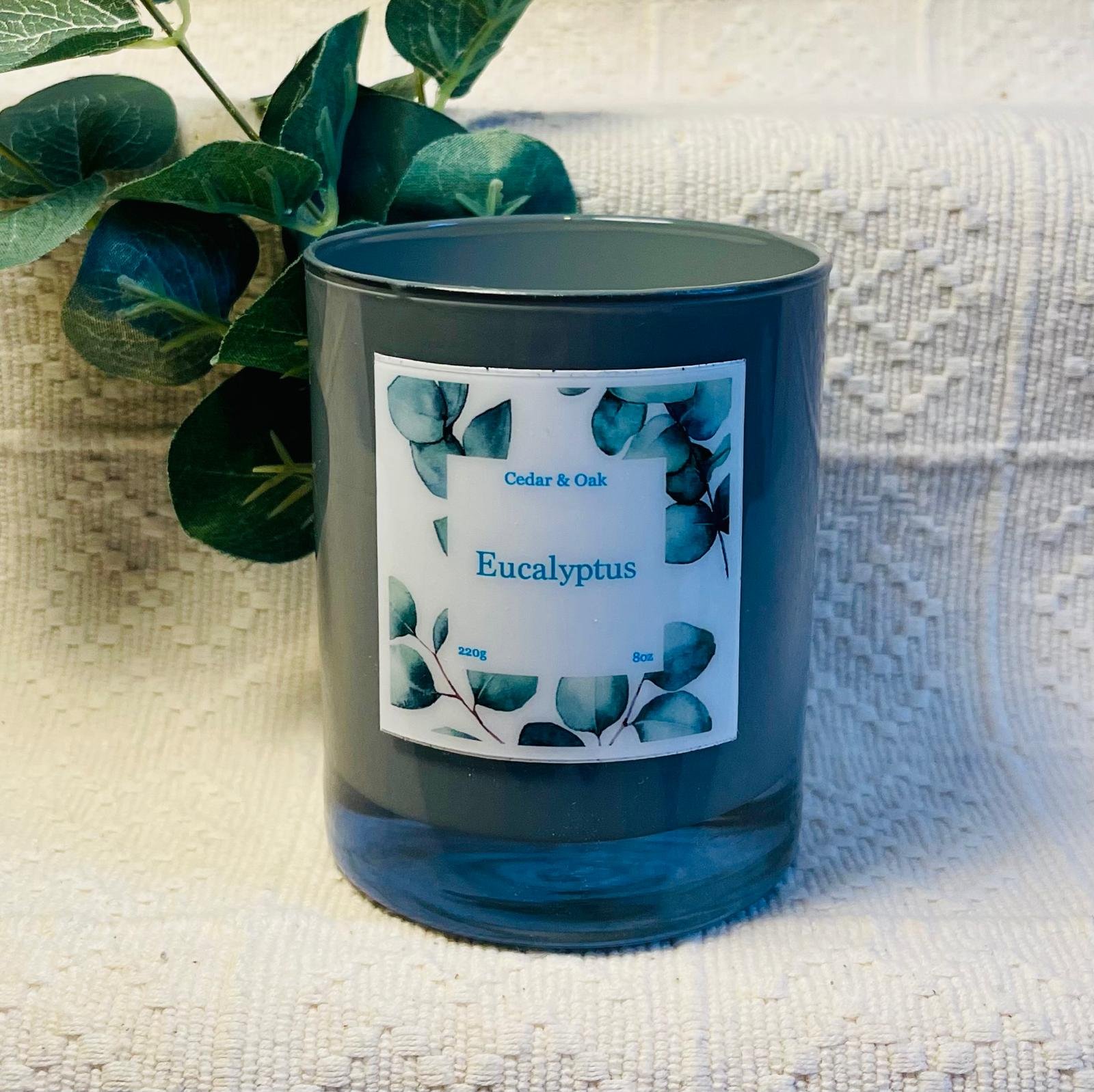 Eucalyptus Wickless Candle