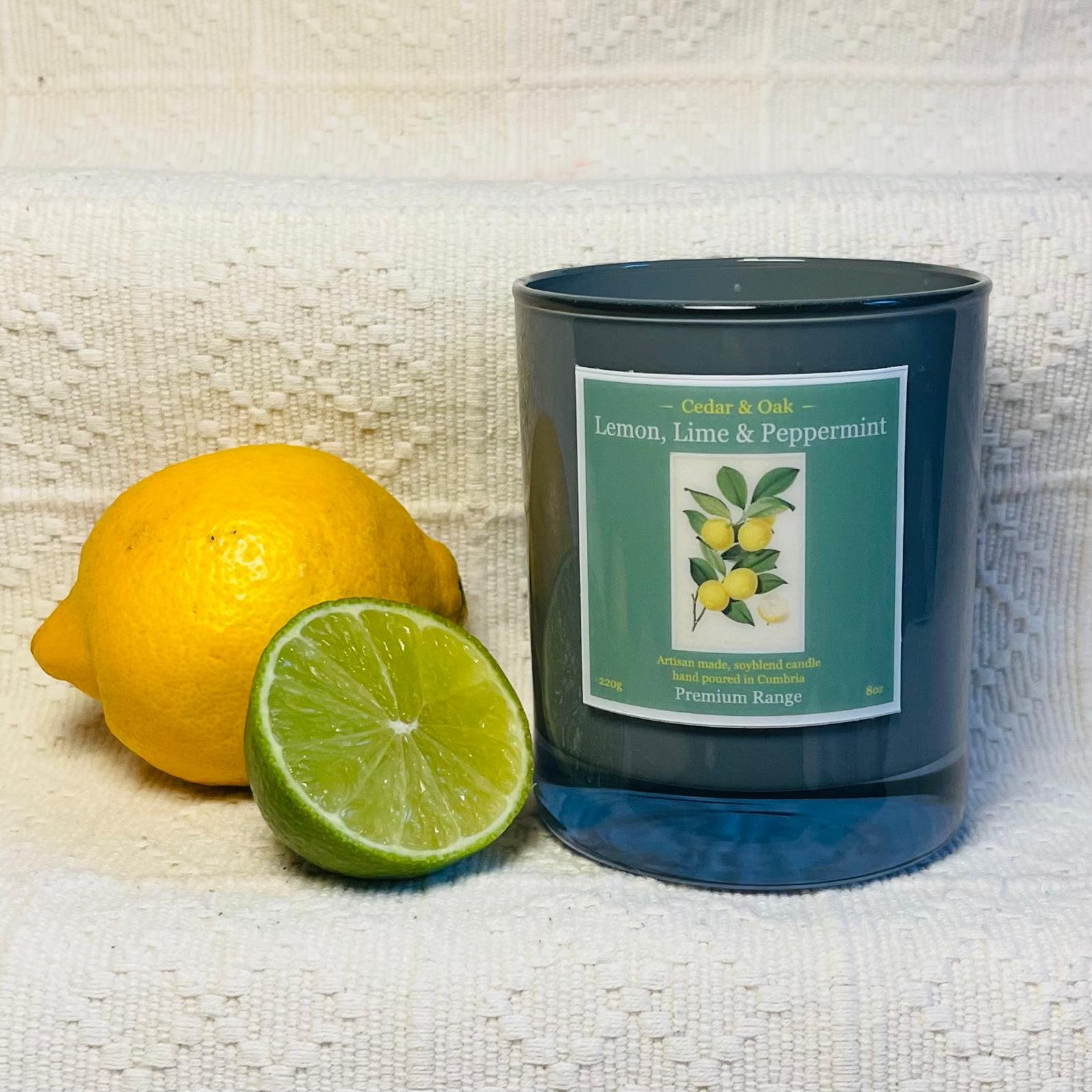 Lemon, Lime & Peppermint Wickless Candle