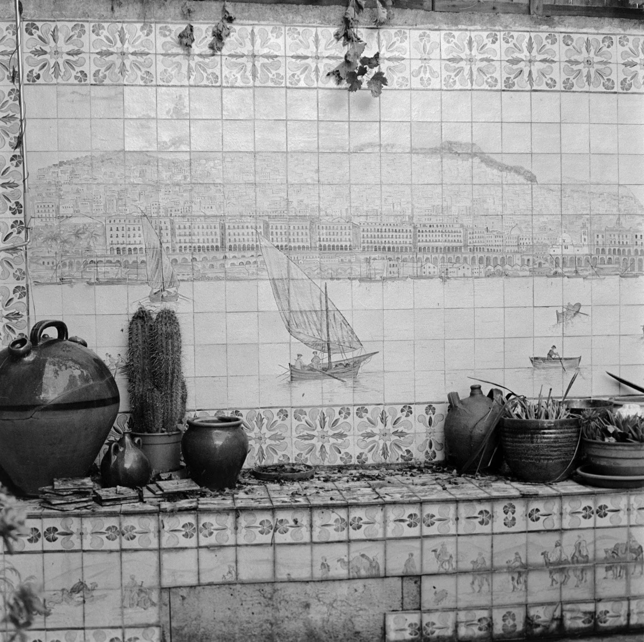 _DSC4552 - Grande.jpeg