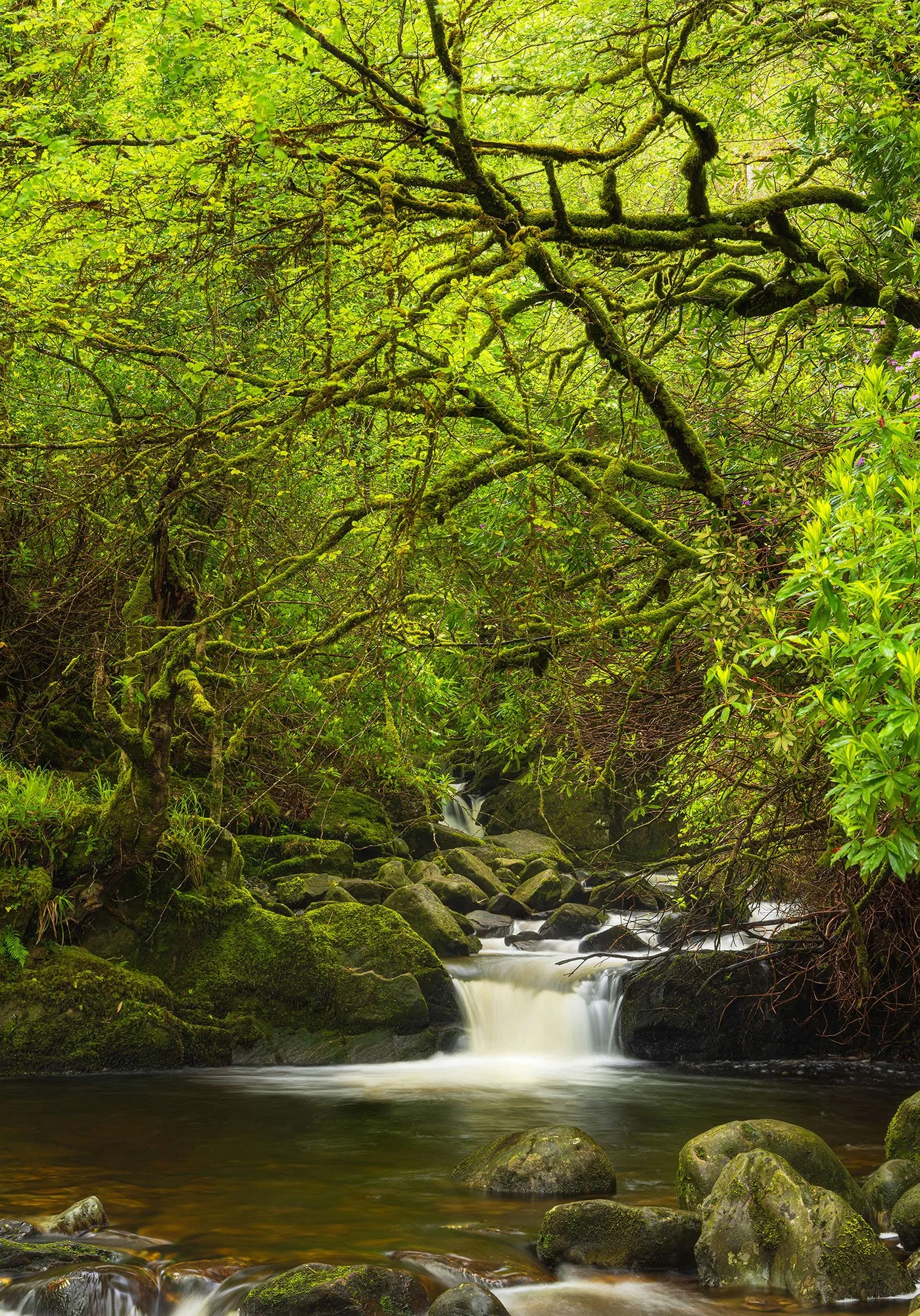 Ireland