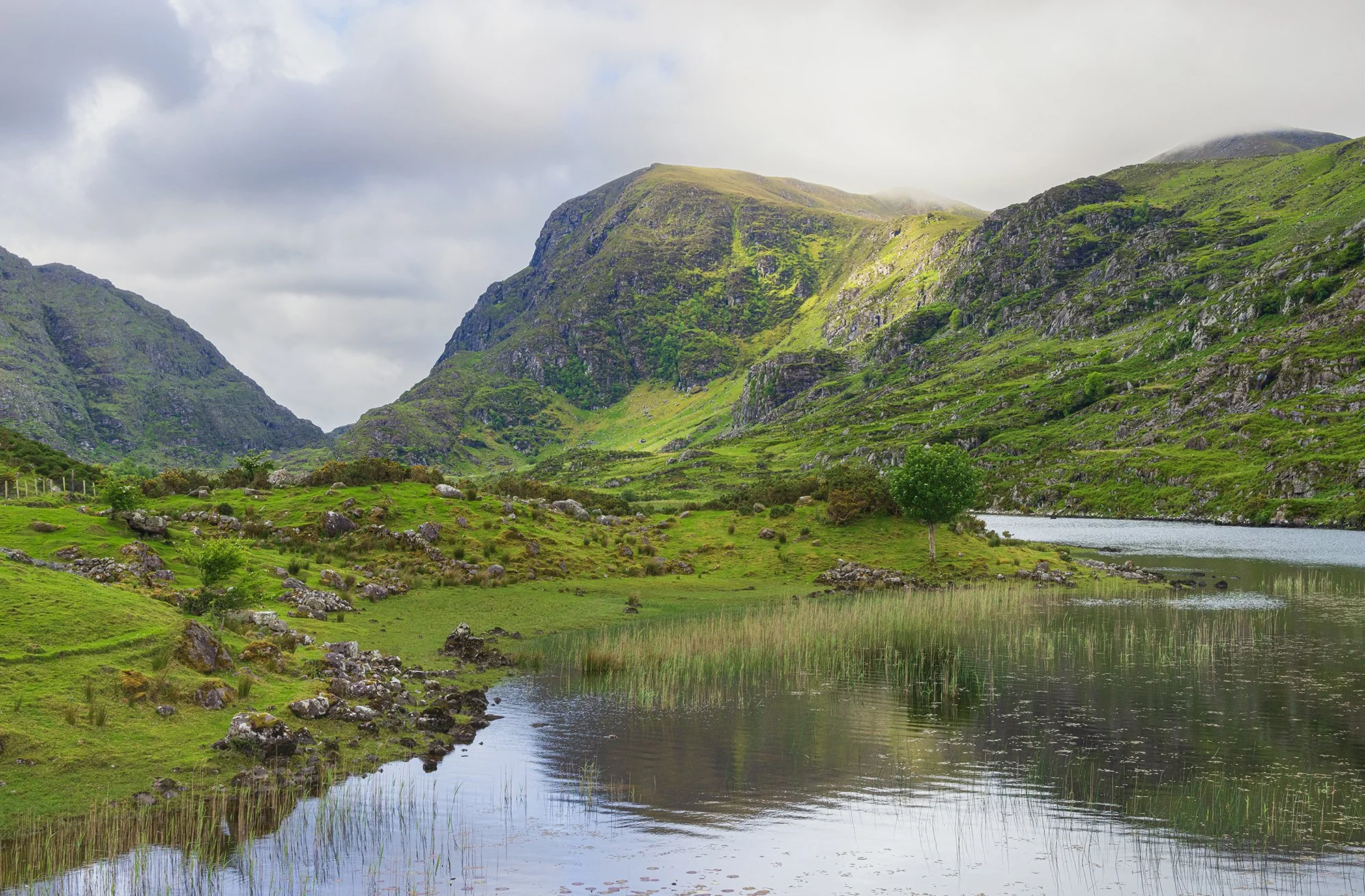 Ireland