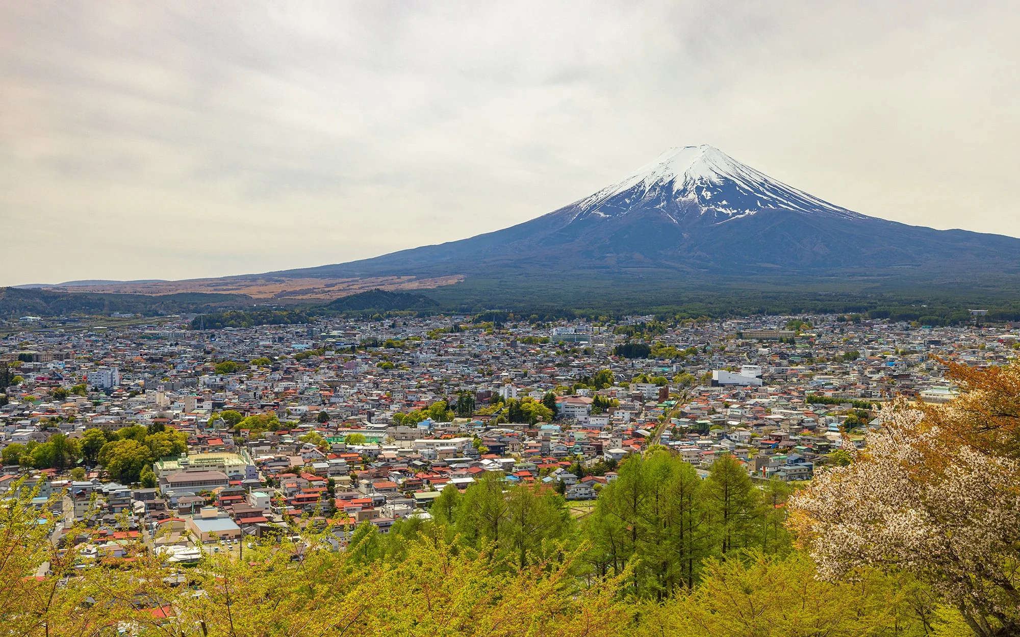 Japan