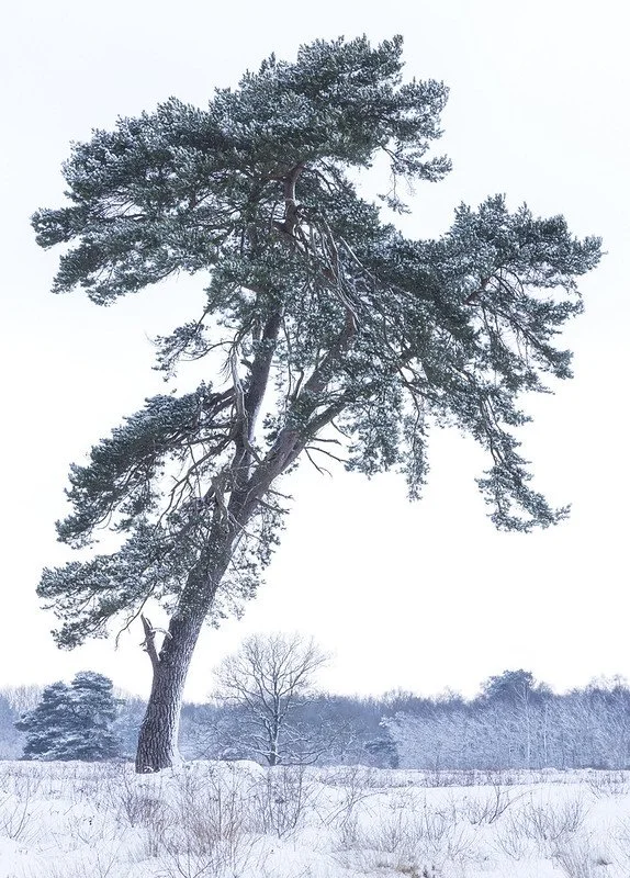 Marcel Kerdijk10.jpg