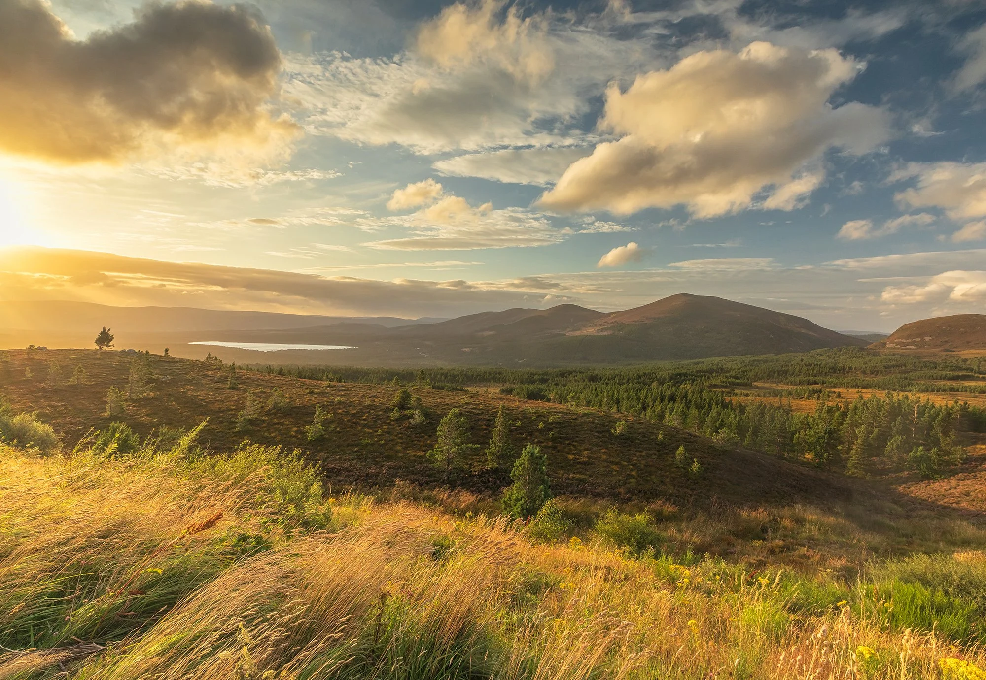 Scotland