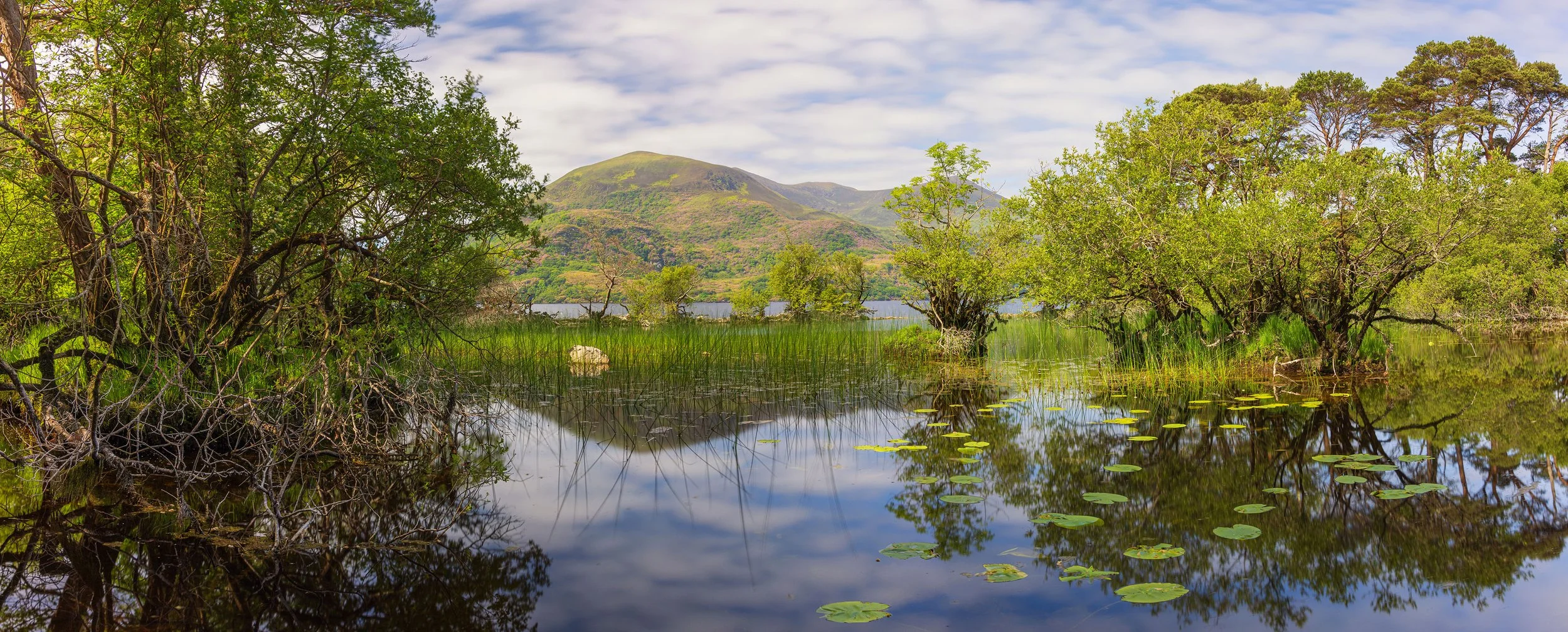 Ireland