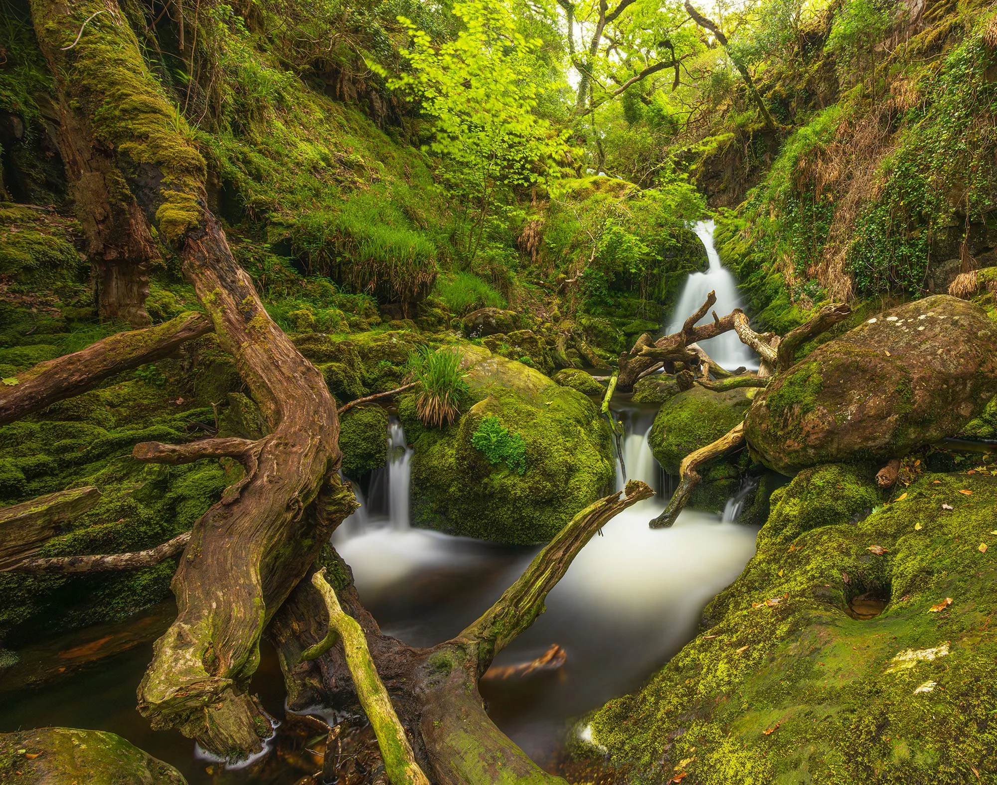 Ireland