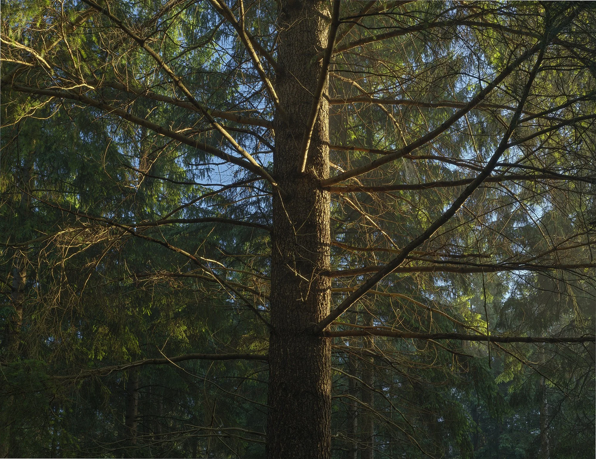 Marcel Kerdijk  - MRCLKRDK3.jpg
