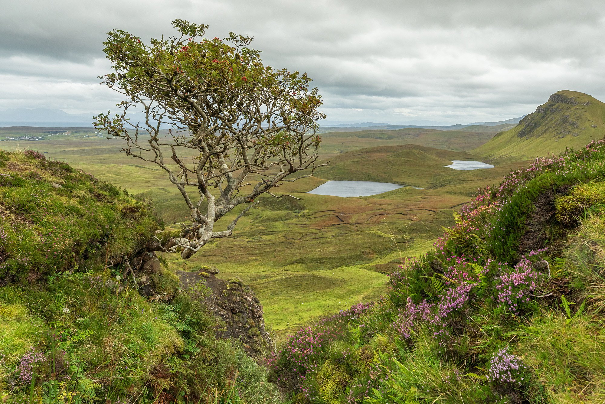 Scotland