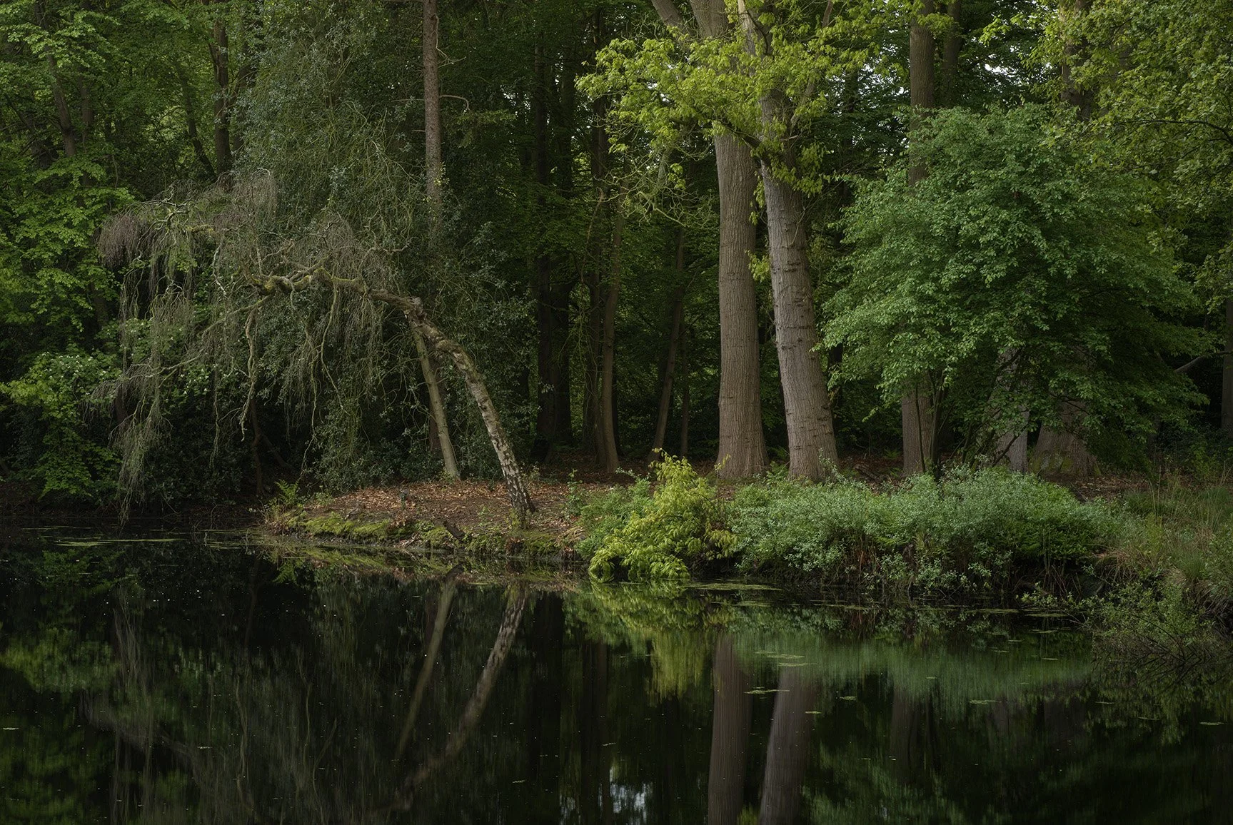 Marcel Kerdijk - Hasselblad - 26.jpg