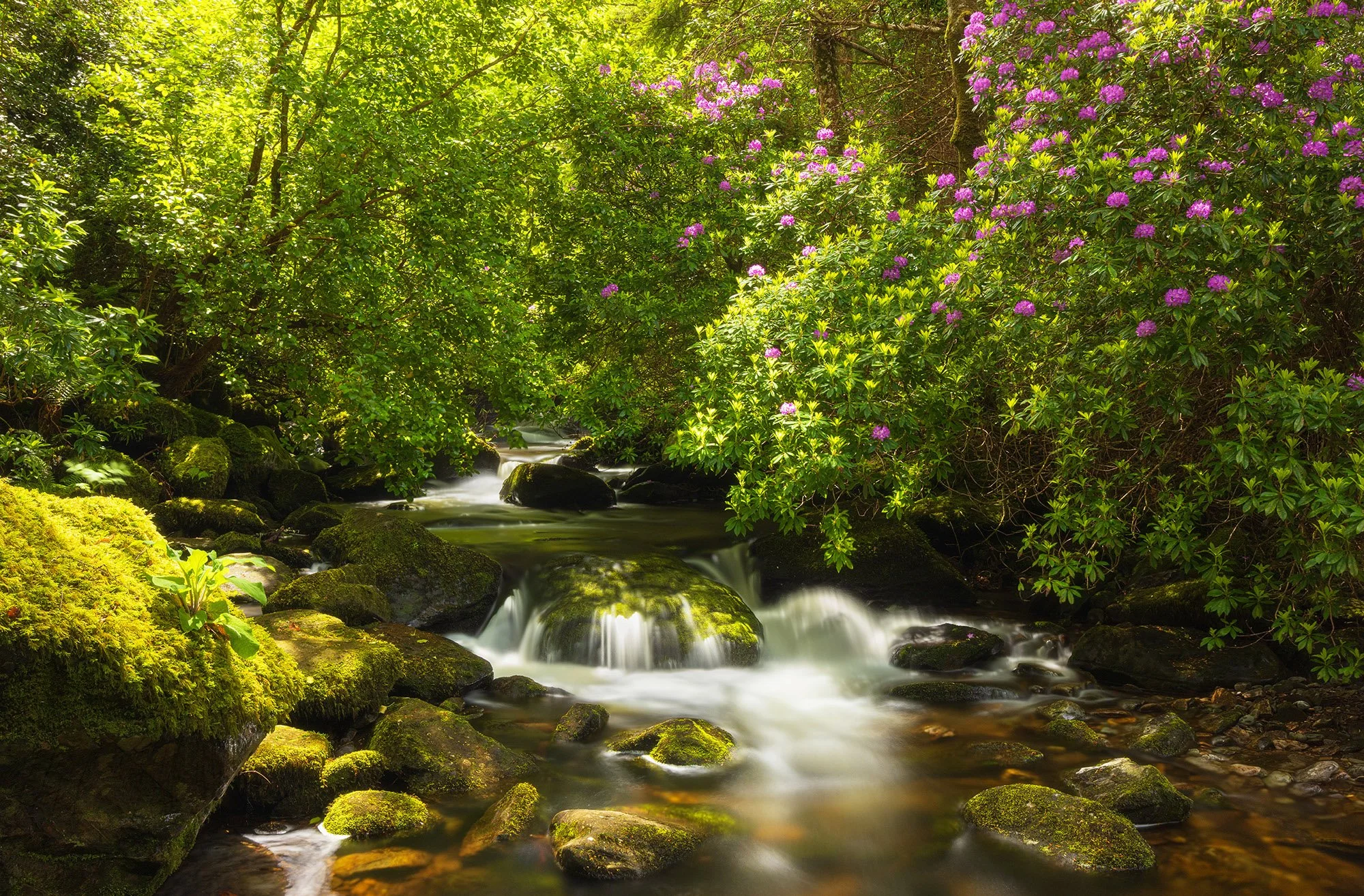 Ireland