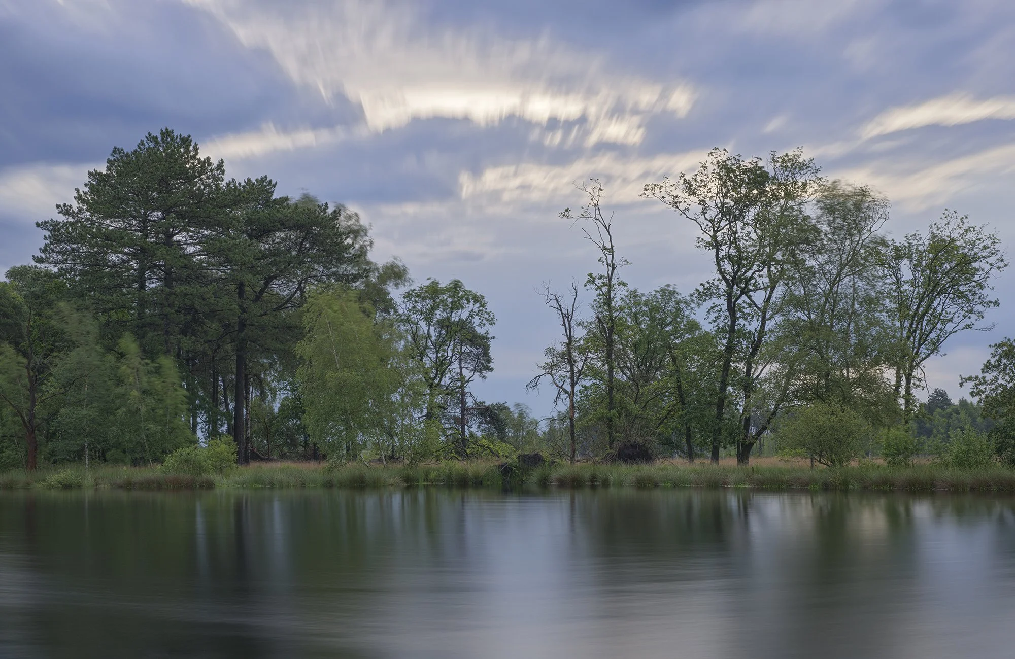 Marcel Kerdijk - -Dwingelderveld 2.jpg