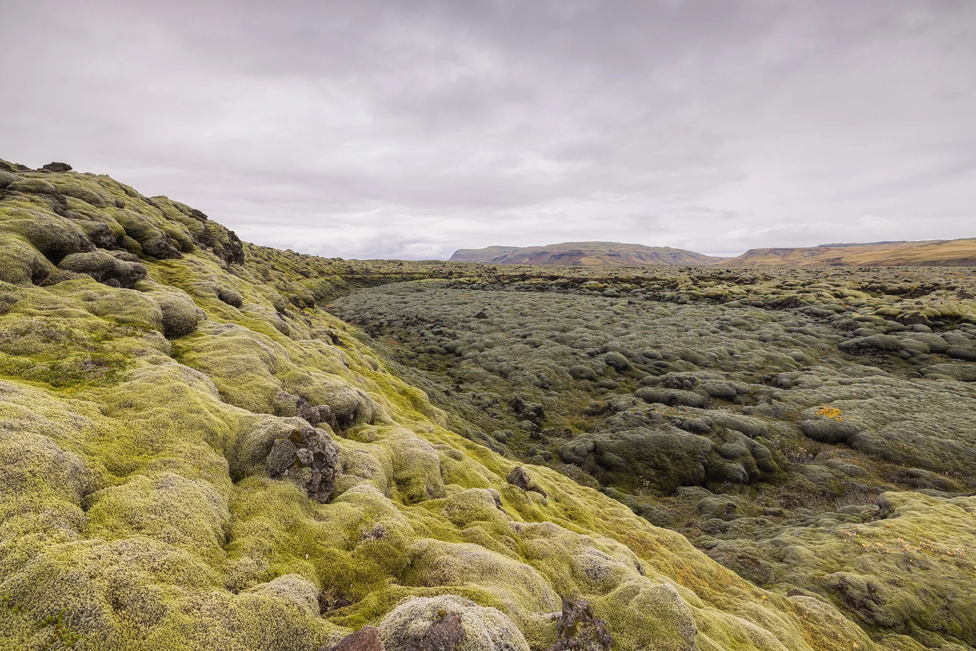 Iceland