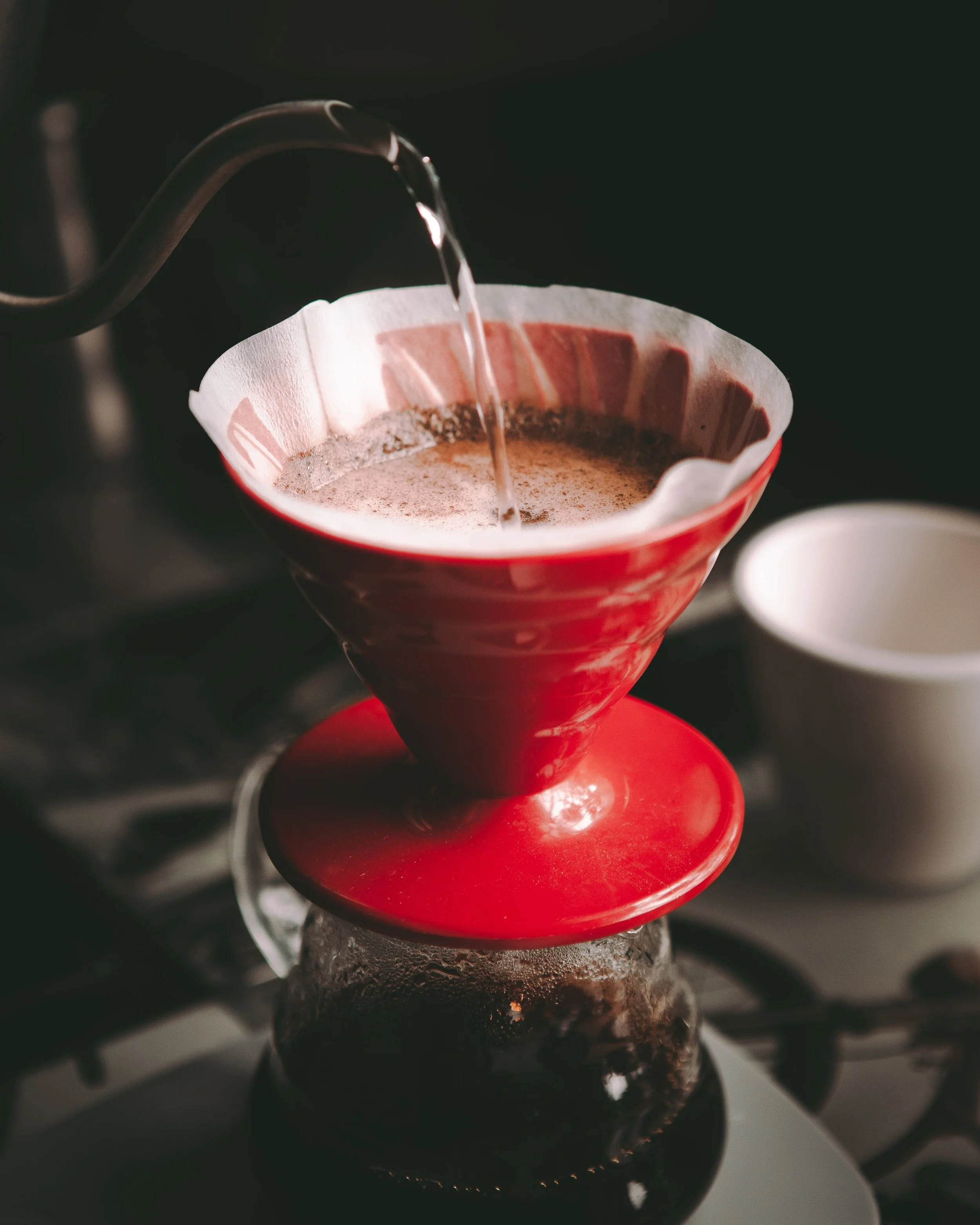 V60 / Filter Brew Guide