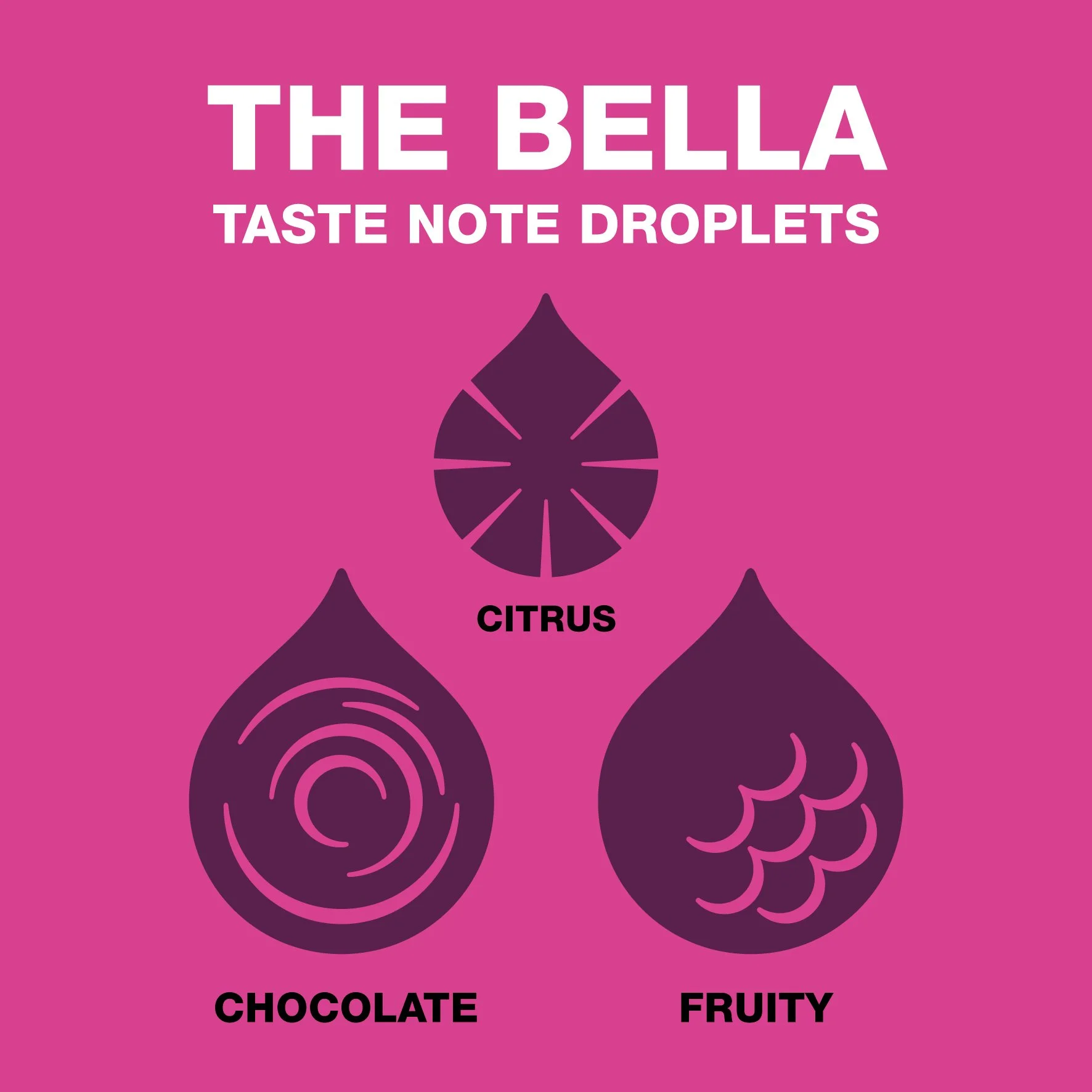 bean_shot_taste_droplets_the_bella.jpg