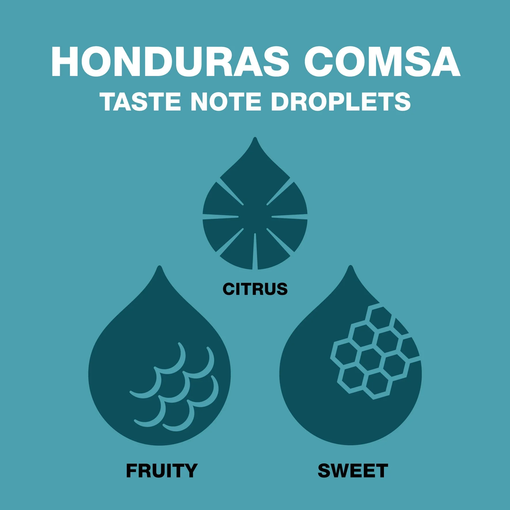 bean_shot_taste_droplets_honduras_comsa.jpg
