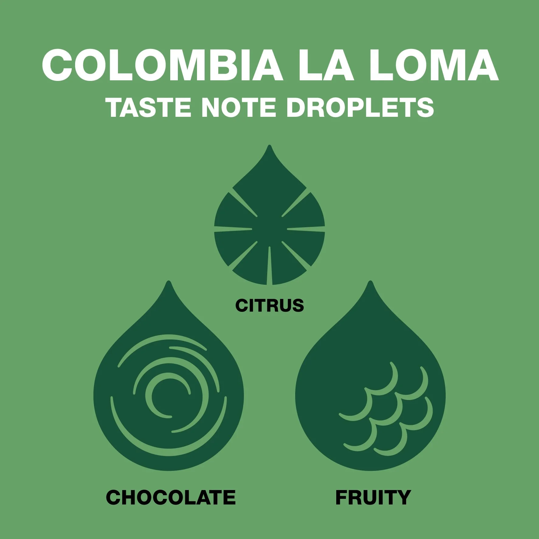 bean_shot_taste_droplets_colombia_la_loma.jpg