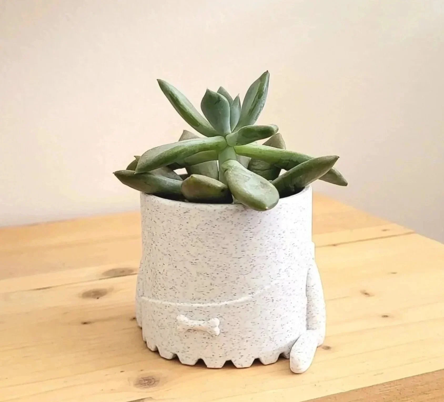 Mini pot Cro-mignon – Pot pour succulentes design et original