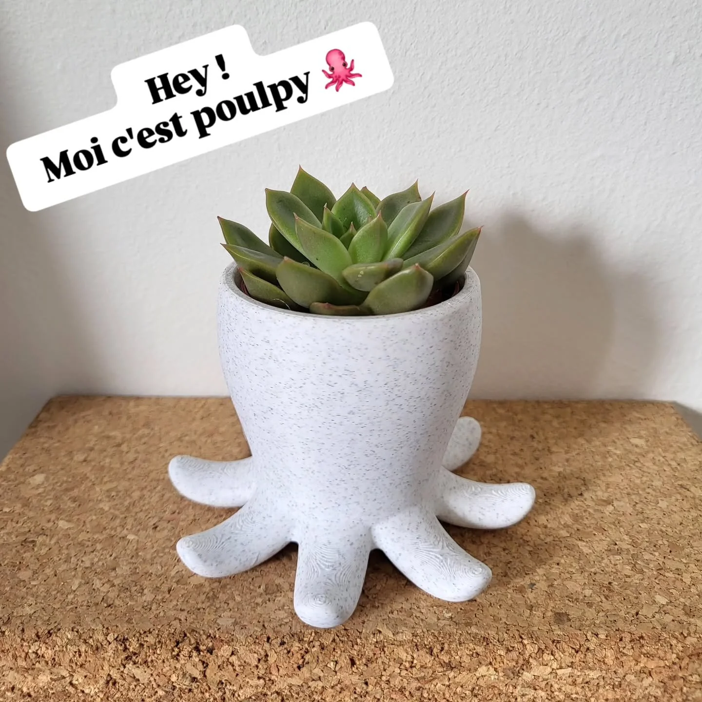 Hello tout le monde ! 😃

Je vous pr&eacute;sente le petit dernier : Poulpy ! 🐙🤭🎉
Le 3&egrave;me mini pot de fleur qui vient compl&eacute;ter la s&eacute;rie. 

J'adore ses mini tentacules 😁😍. Et vous ? 

Pour rappel : Les petits pots sont d&eac