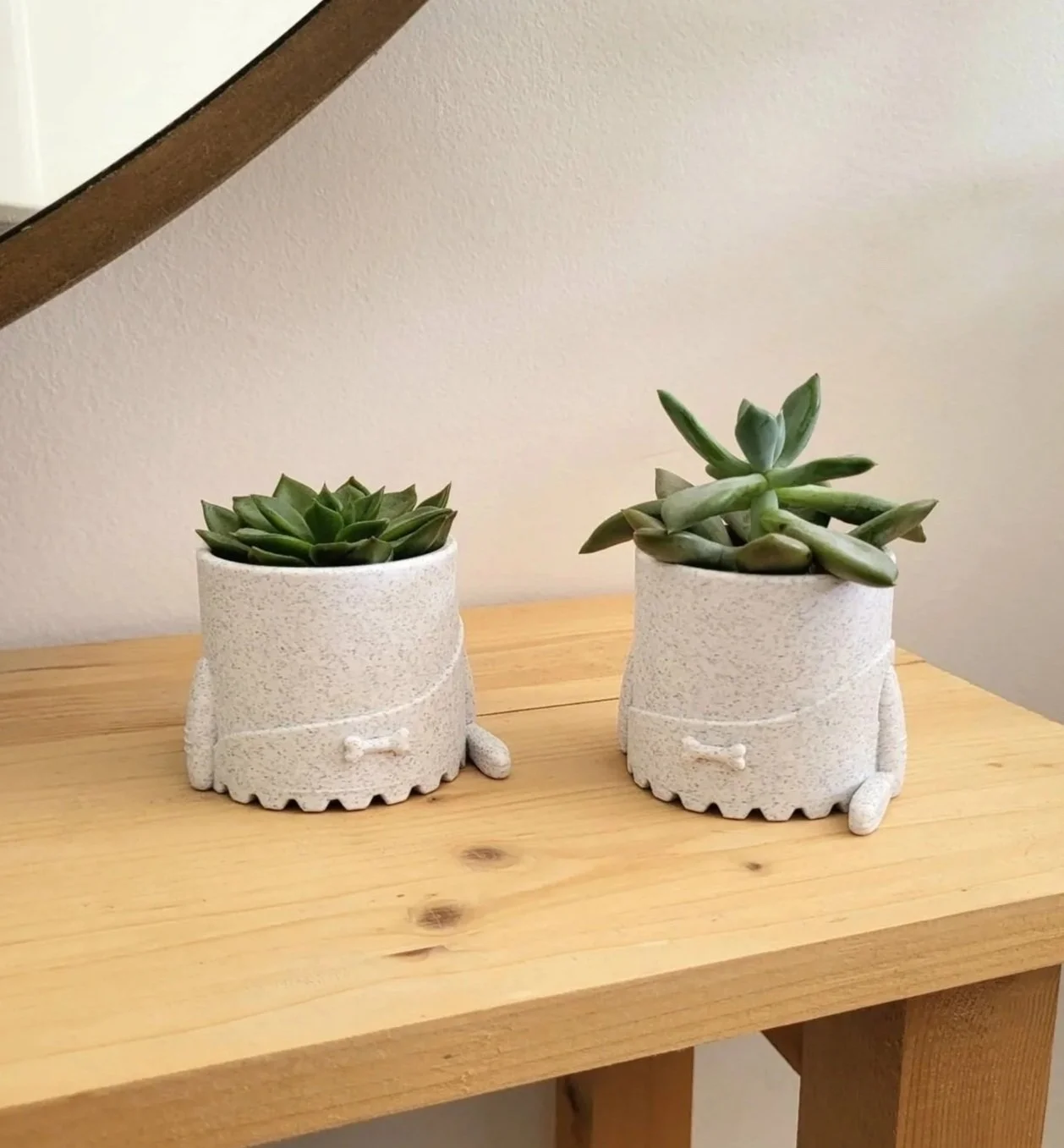 Mini%2BPot%2Bde%2Bfleur%2Boriginal%2Bpour%2Bsucculente%2B-%2Bcromignon_3.jpg