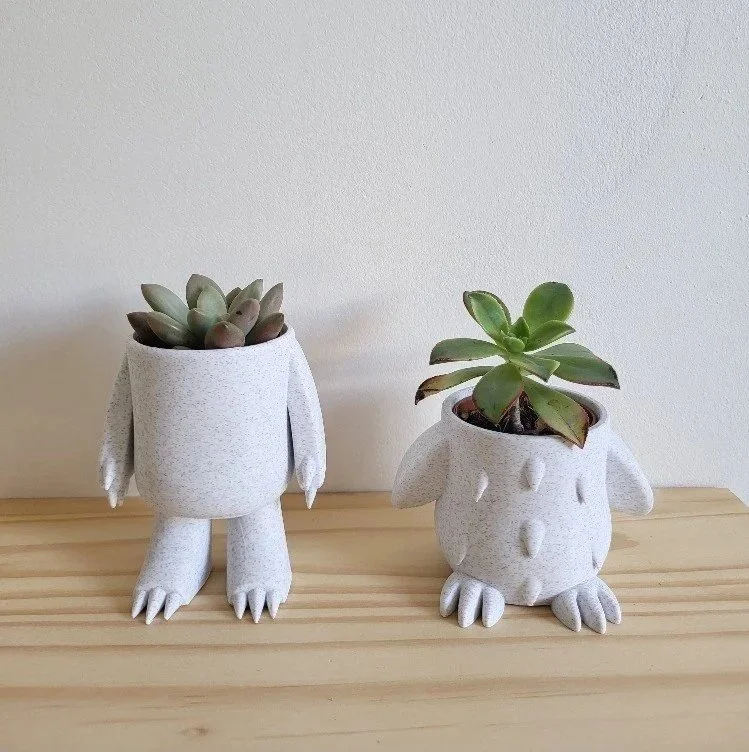 Mini Pots de fleurs originaux pour succulentes - monstre/poule.jpg