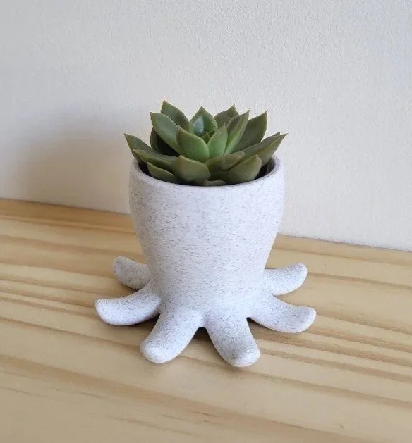 Mini Pot de fleur original pour succulente - poulpe.jpg