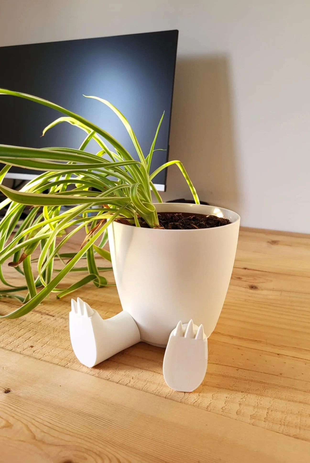 Pattes de Monstre (moyennes) – Accessoire Fun pour Pot de Fleurs