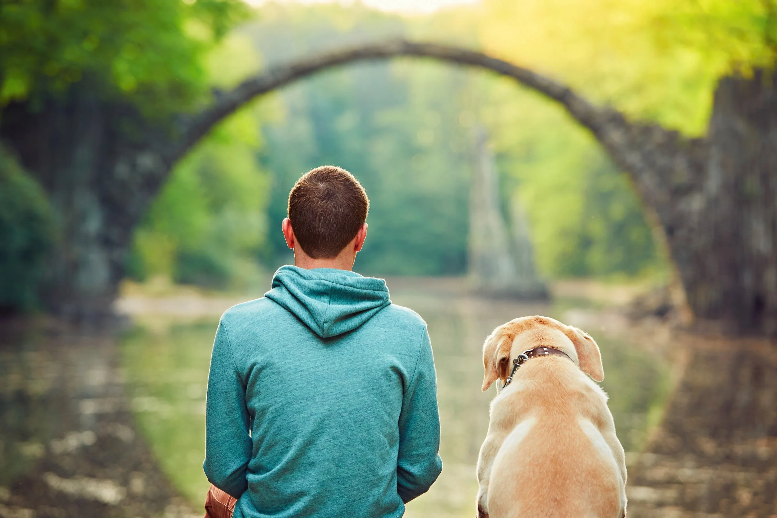 man-and-dog-relaxing-by-rakotzbrucke-bridge-2026-03-18-20-45-03-utc.jpg