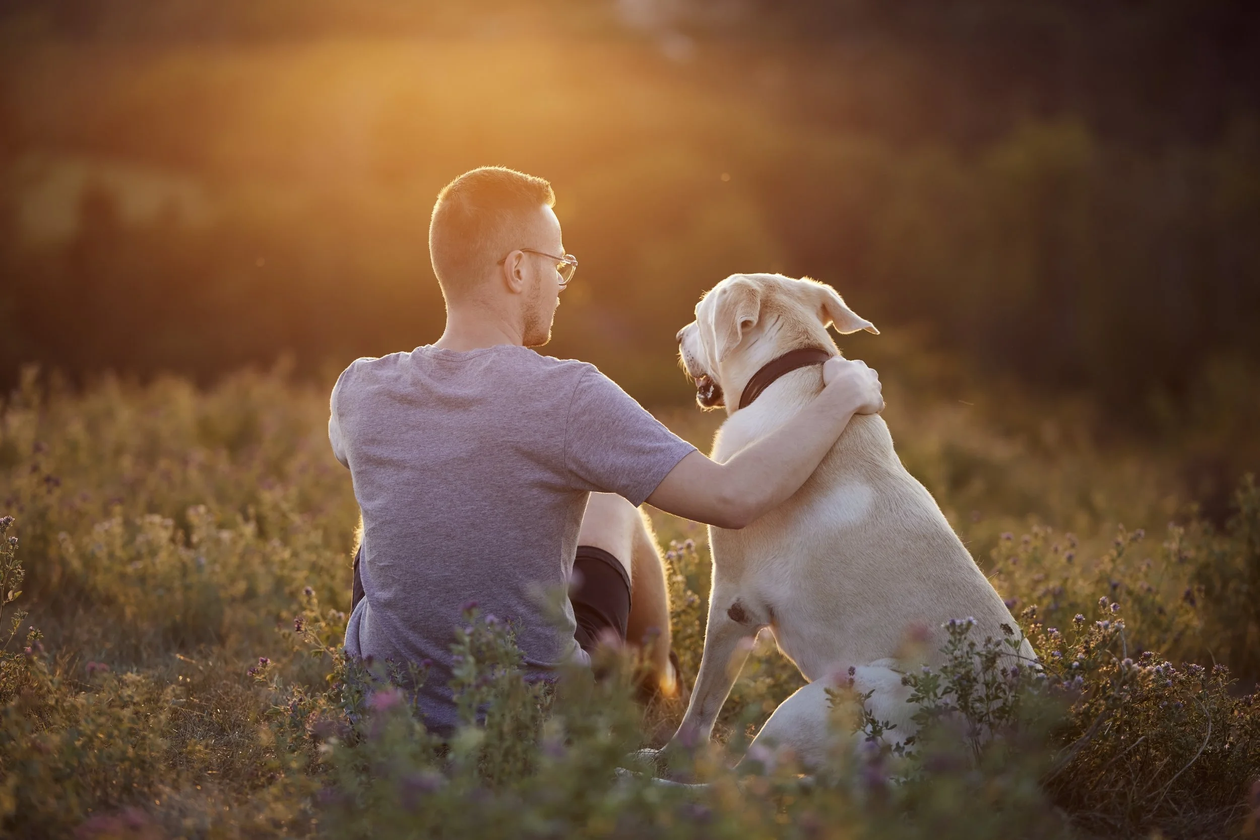 man-with-dog-on-meadow-at-sunset-2026-03-18-17-45-52-utc.jpg